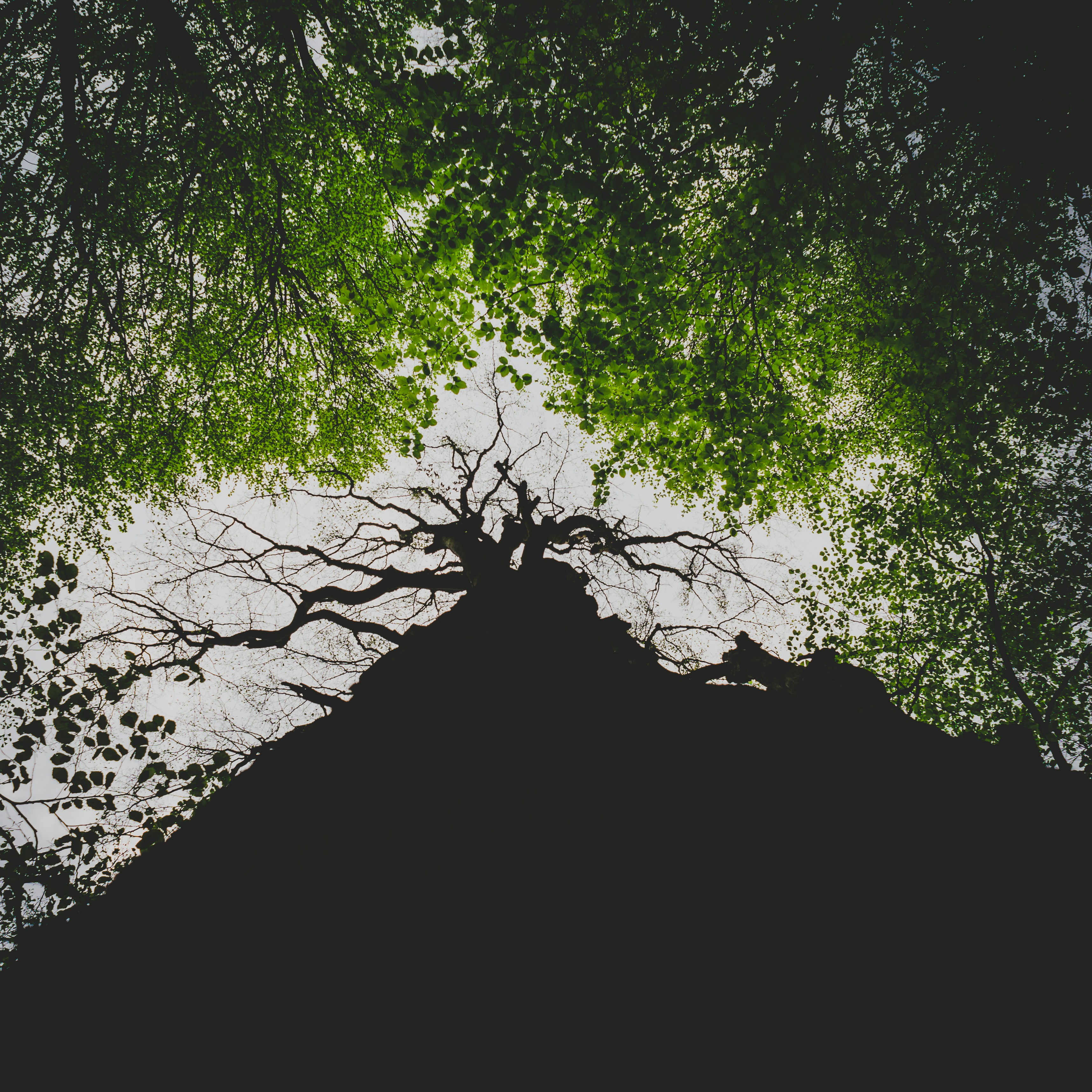 Free Unsplash photo from Buzac Marius