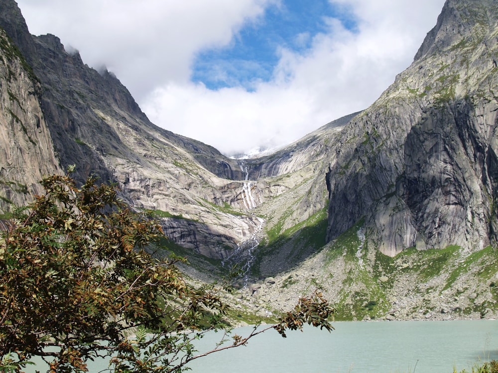 tall green tree near body of water surrounded by mountain range with river under white clouds during daytime