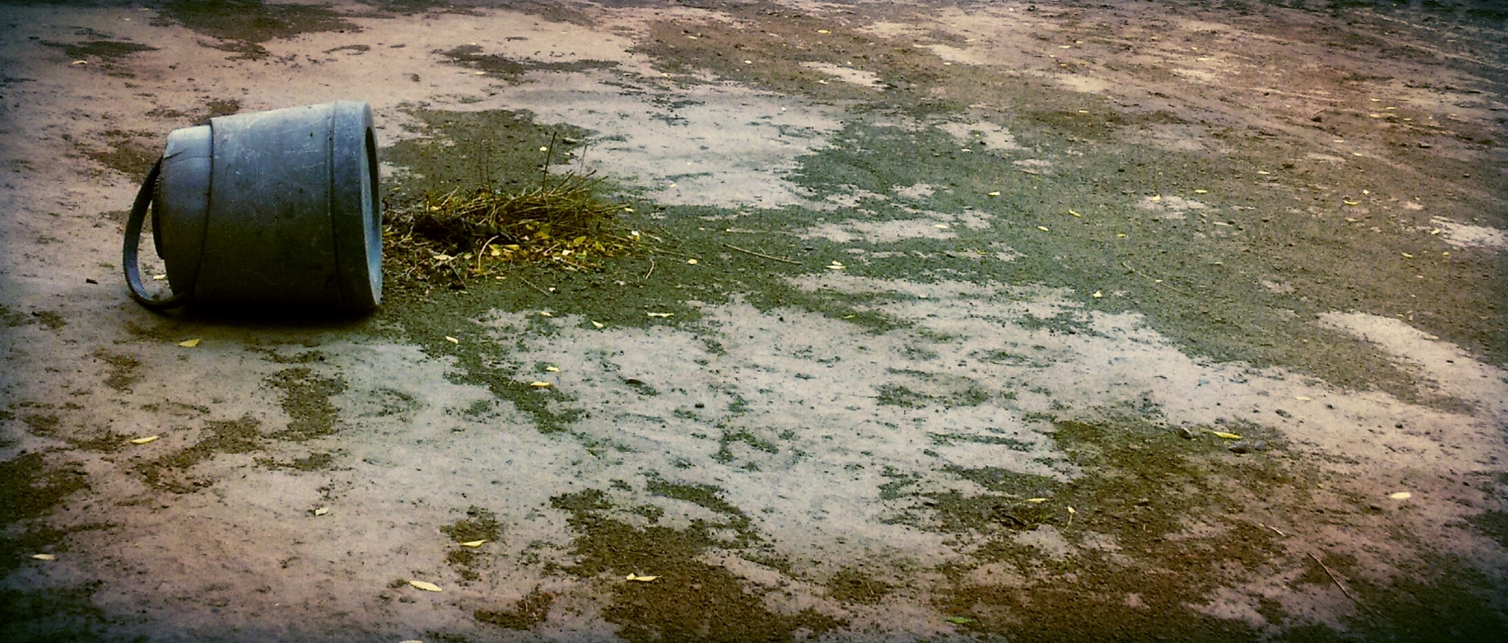 Free Unsplash photo from Lovepreet Aulakh