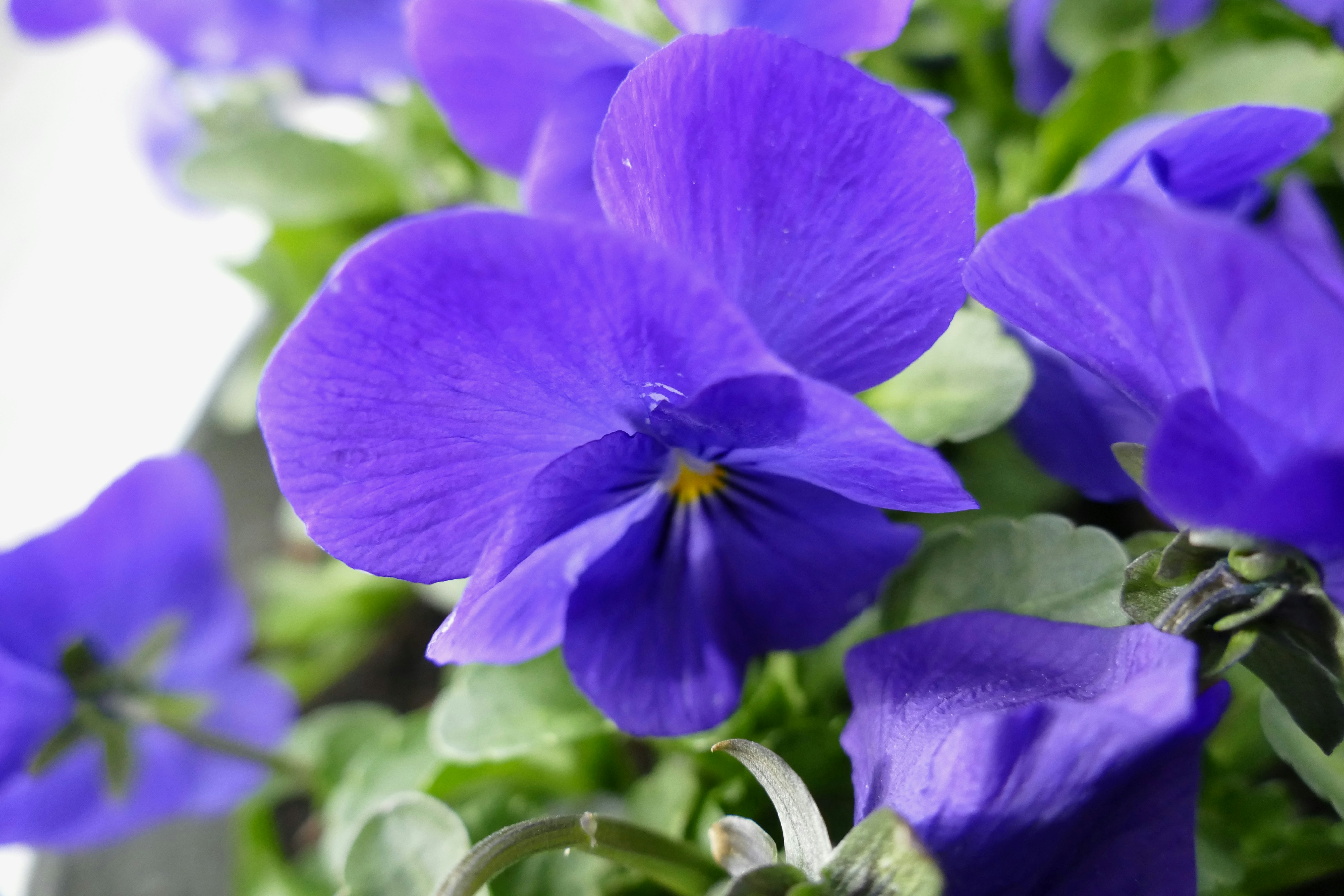 Free Unsplash photo from Brage Neslein Korsnes