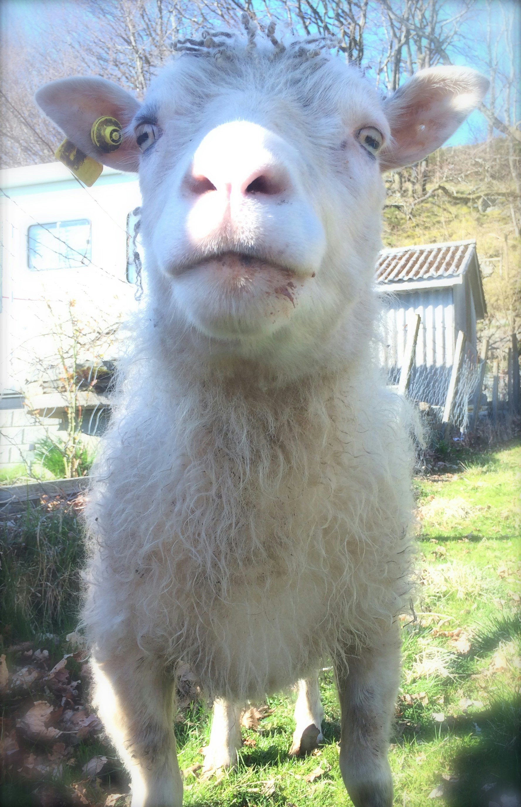 Free Unsplash photo from Carina Tysvær