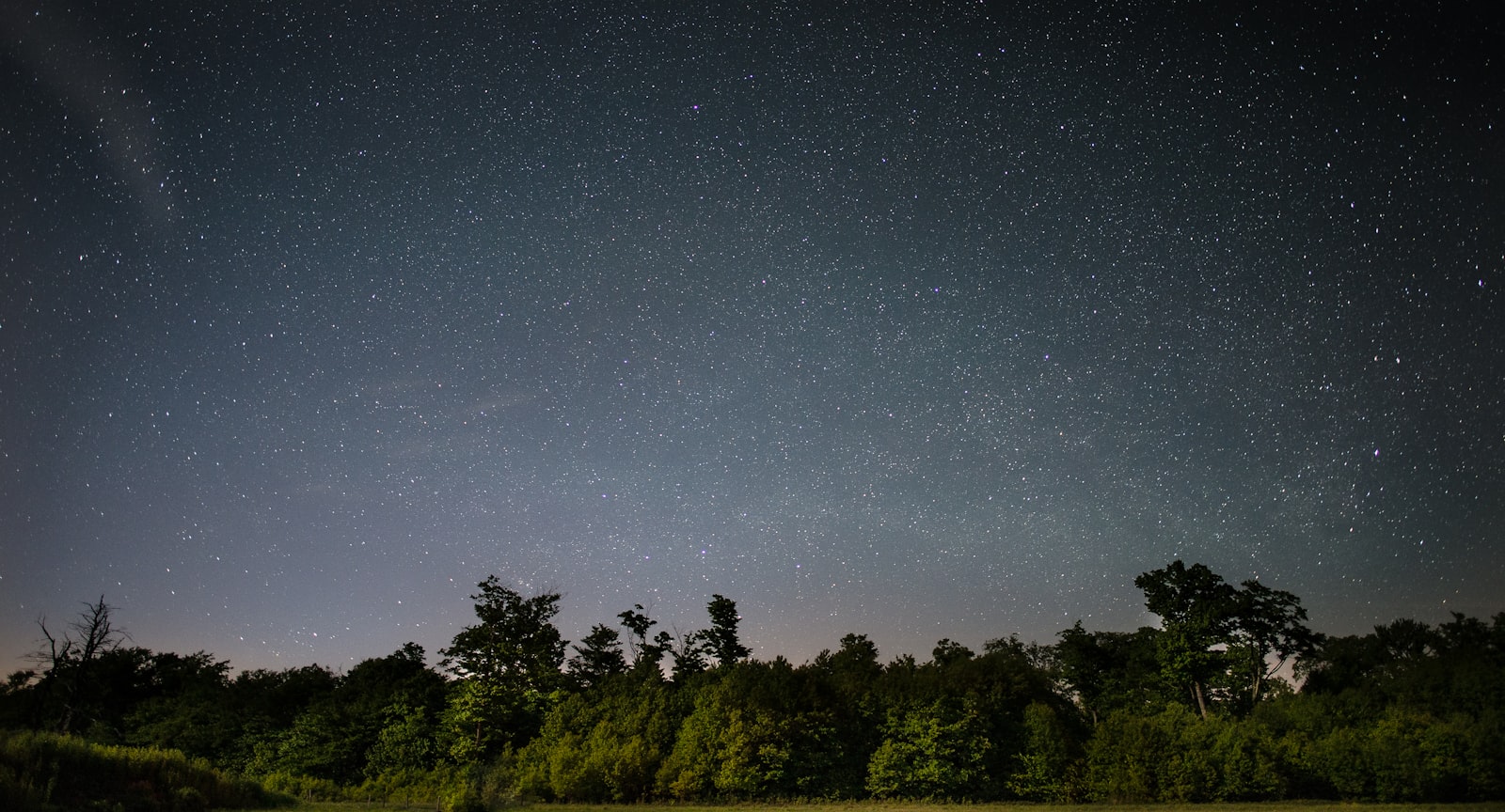 Nikon D610 + Nikon AF-S Nikkor 20mm F1.8G ED sample photo. Silhouette photo of green photography