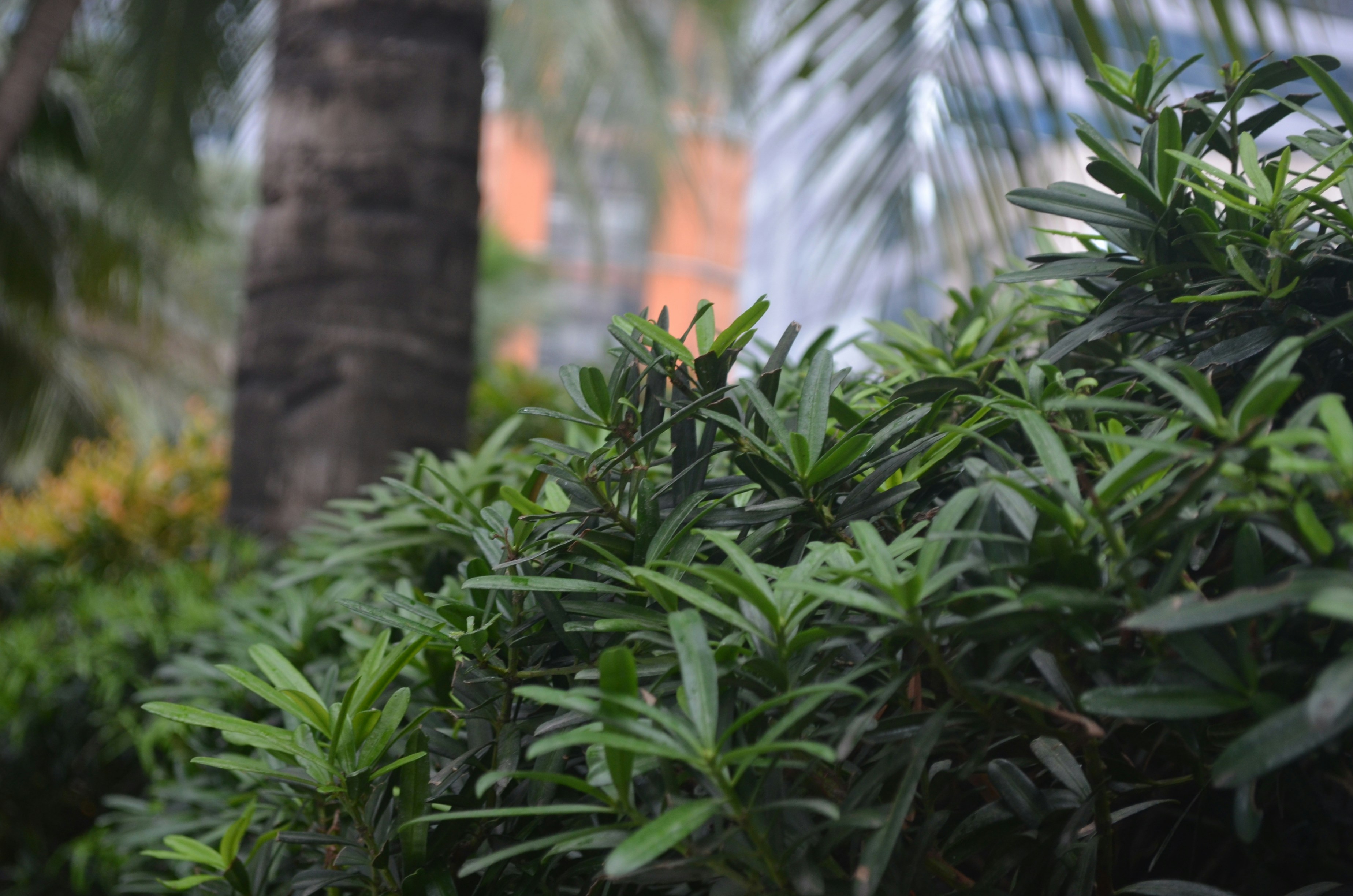 Free Unsplash photo from Mark Deanil Vicente