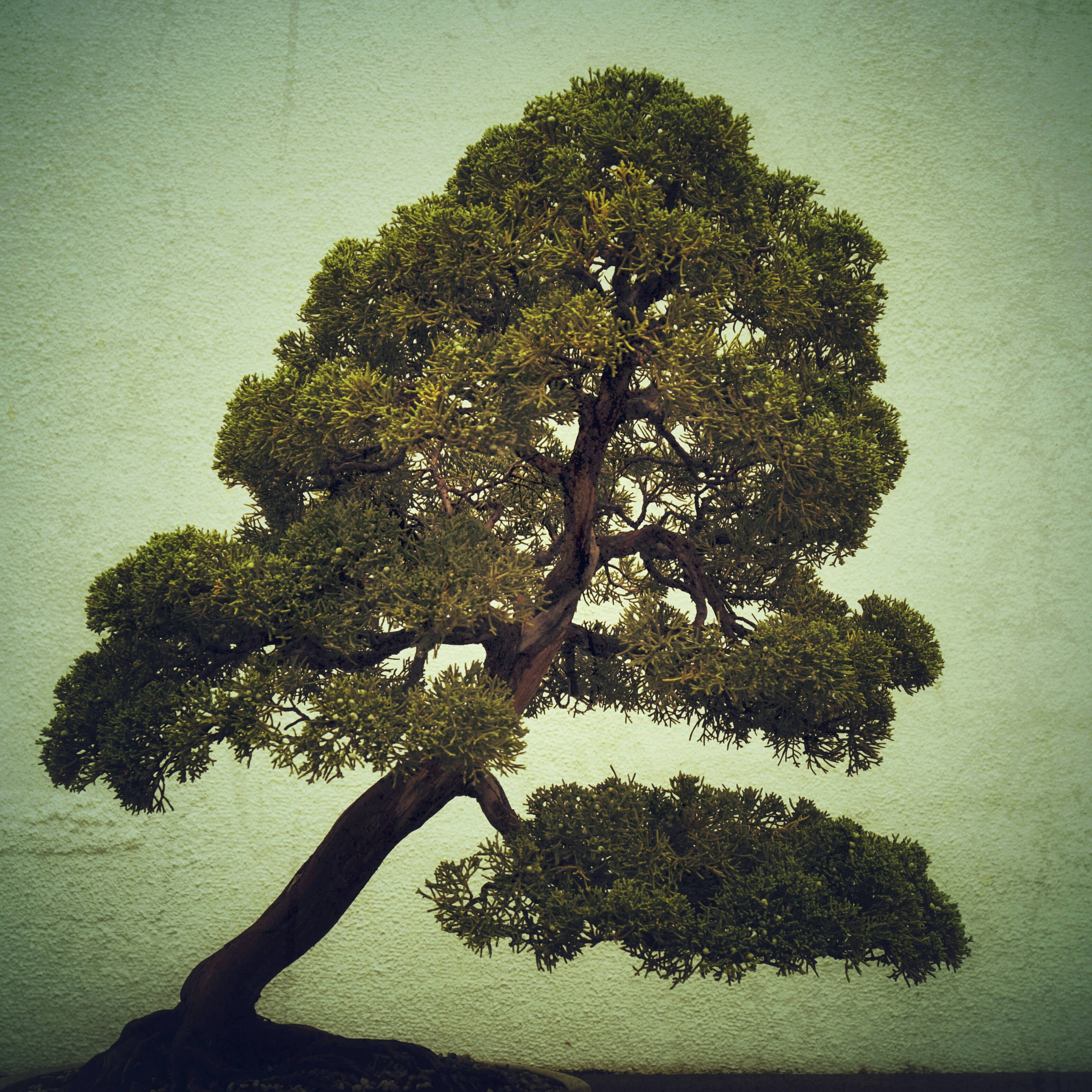 Photo By Dawn Armfield