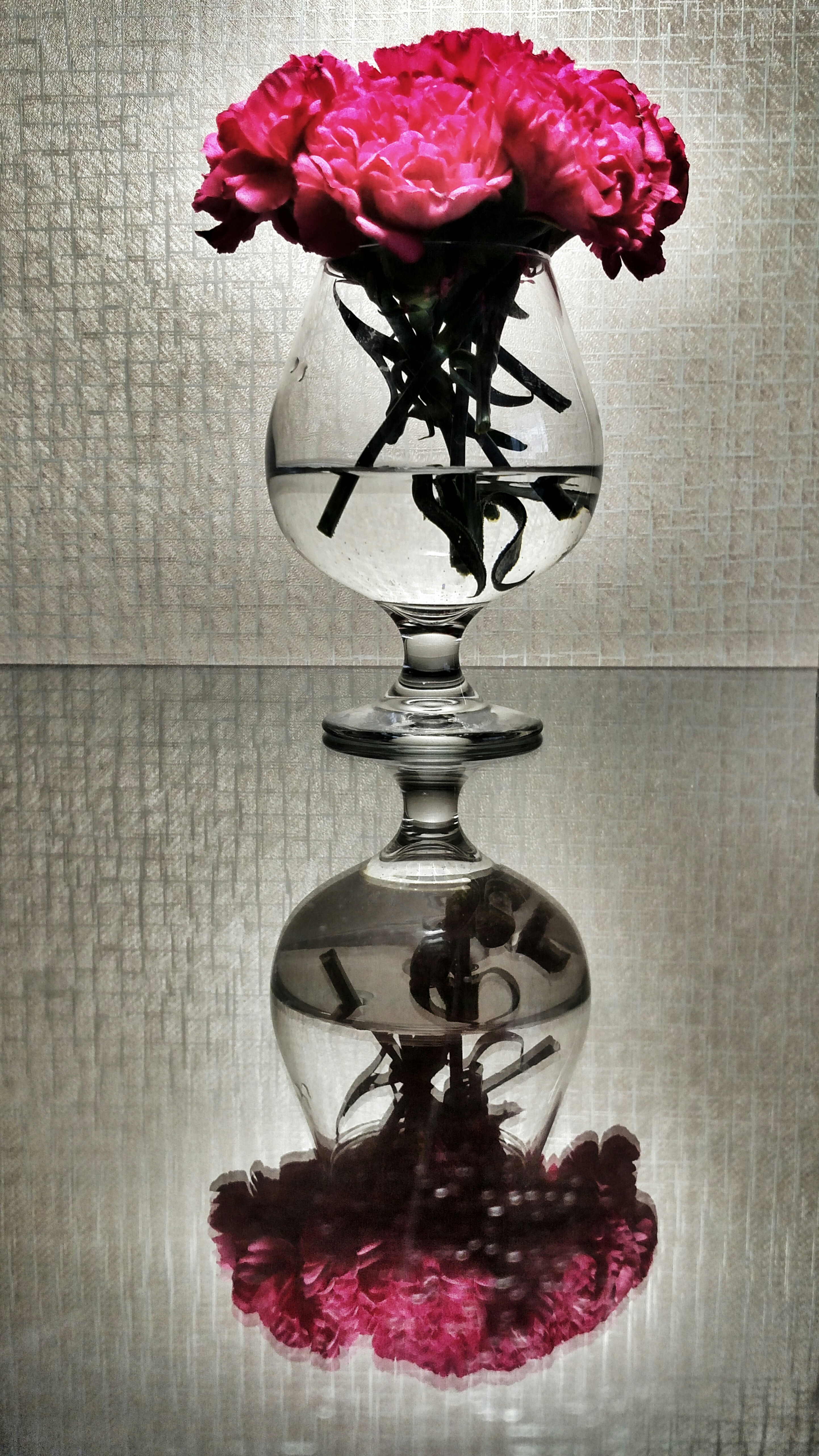 Photo By Dawn Armfield