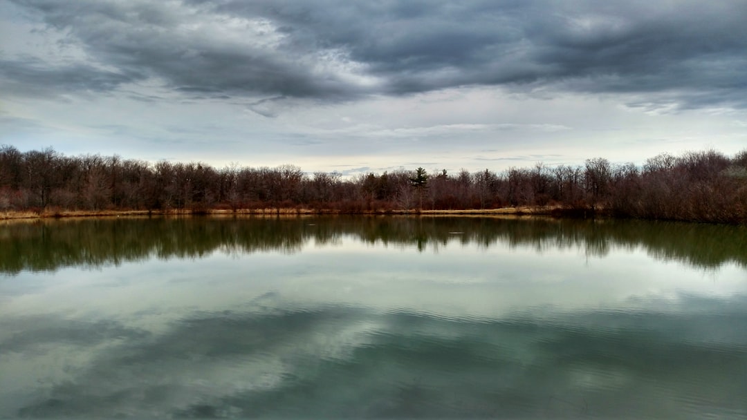 travelers stories about Lake in 576 S Cranberry Swamp Rd, United States