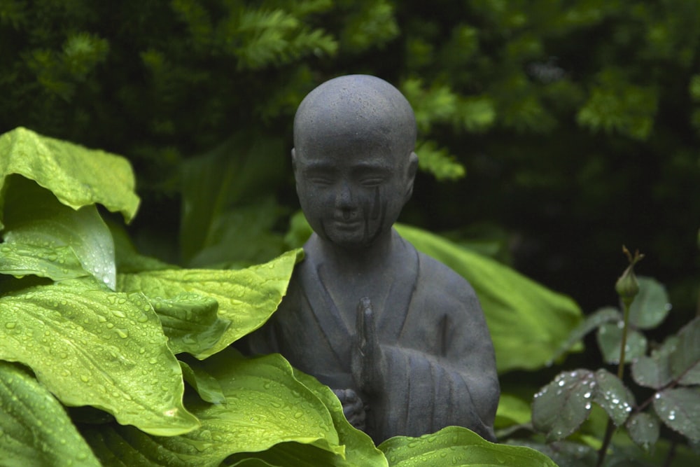 Estatua de monje rodeada de plantas al aire libre durante el día