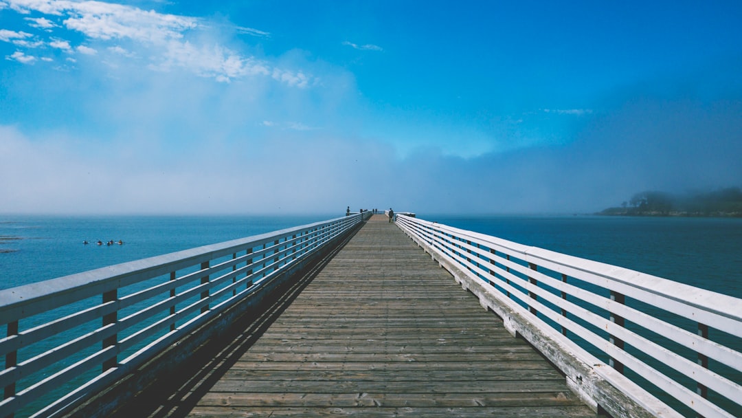 gray and white wooden sea dock under blue and white sky at daytime