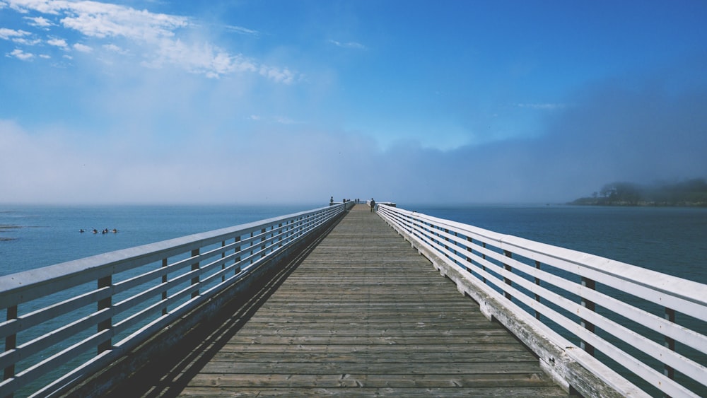 Grau-weißes hölzernes Seedock unter blauem und weißem Himmel bei Tag