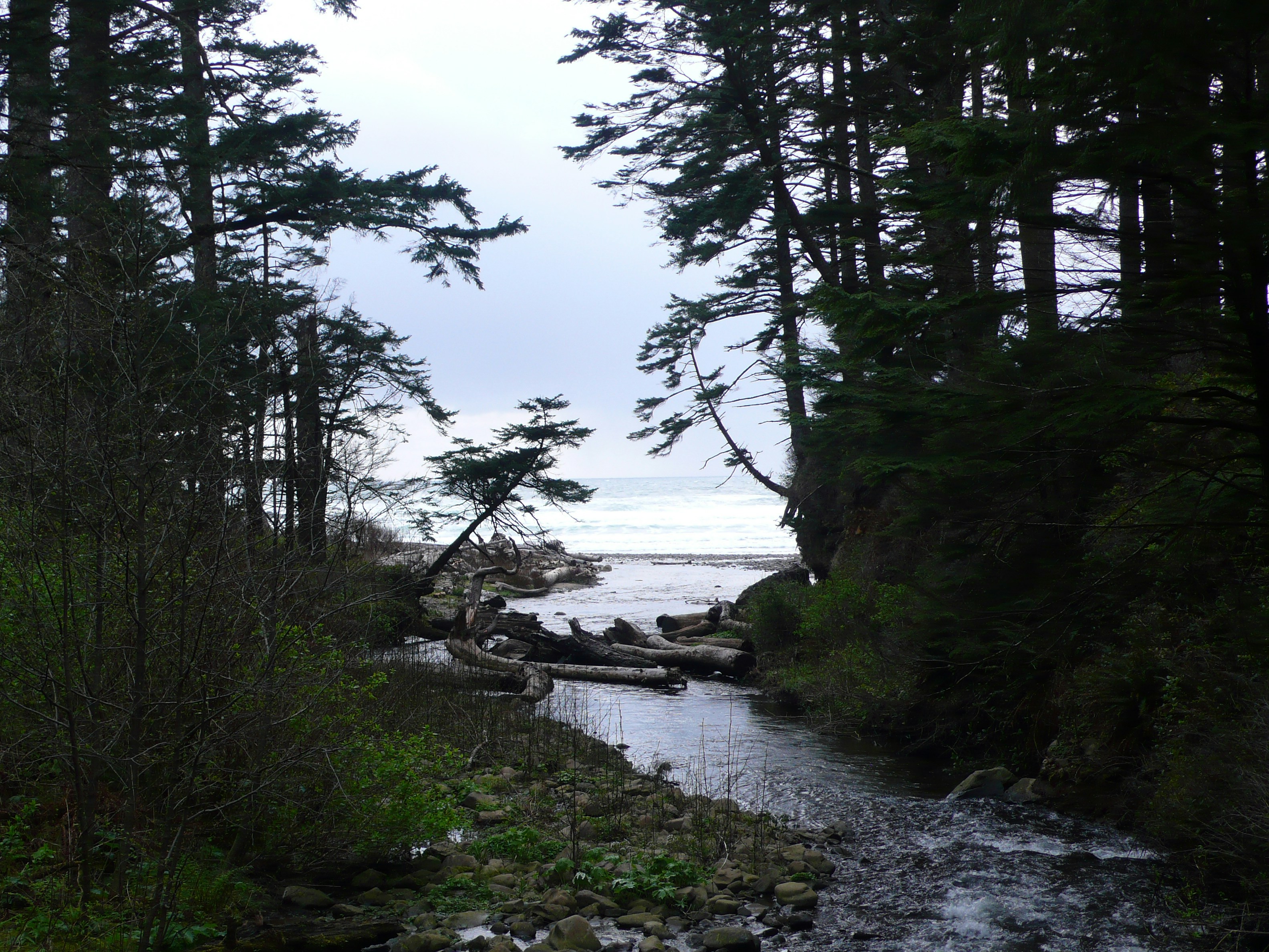 Free Unsplash photo from Adam Wood