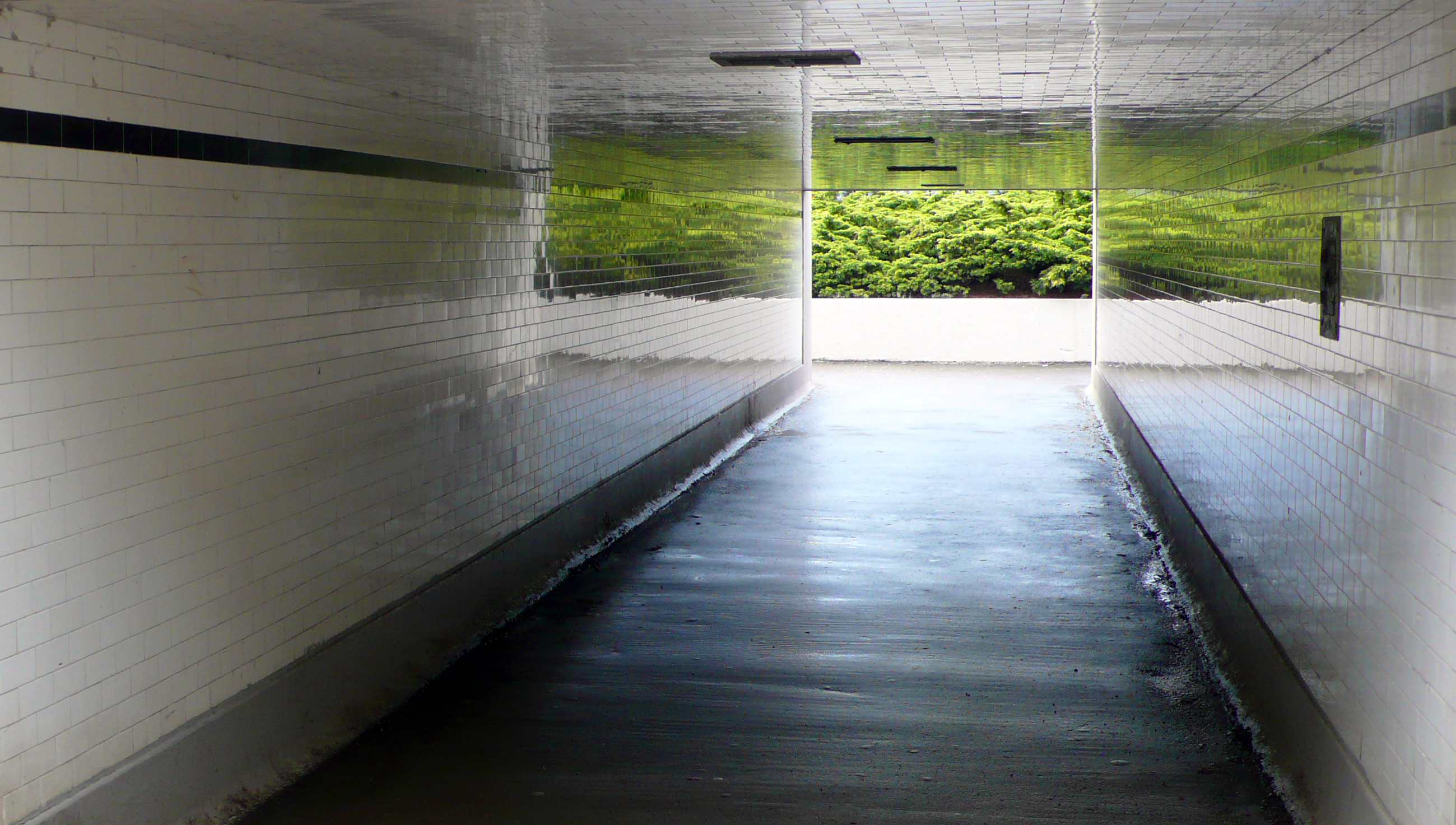 Free Unsplash photo from Adam Wood