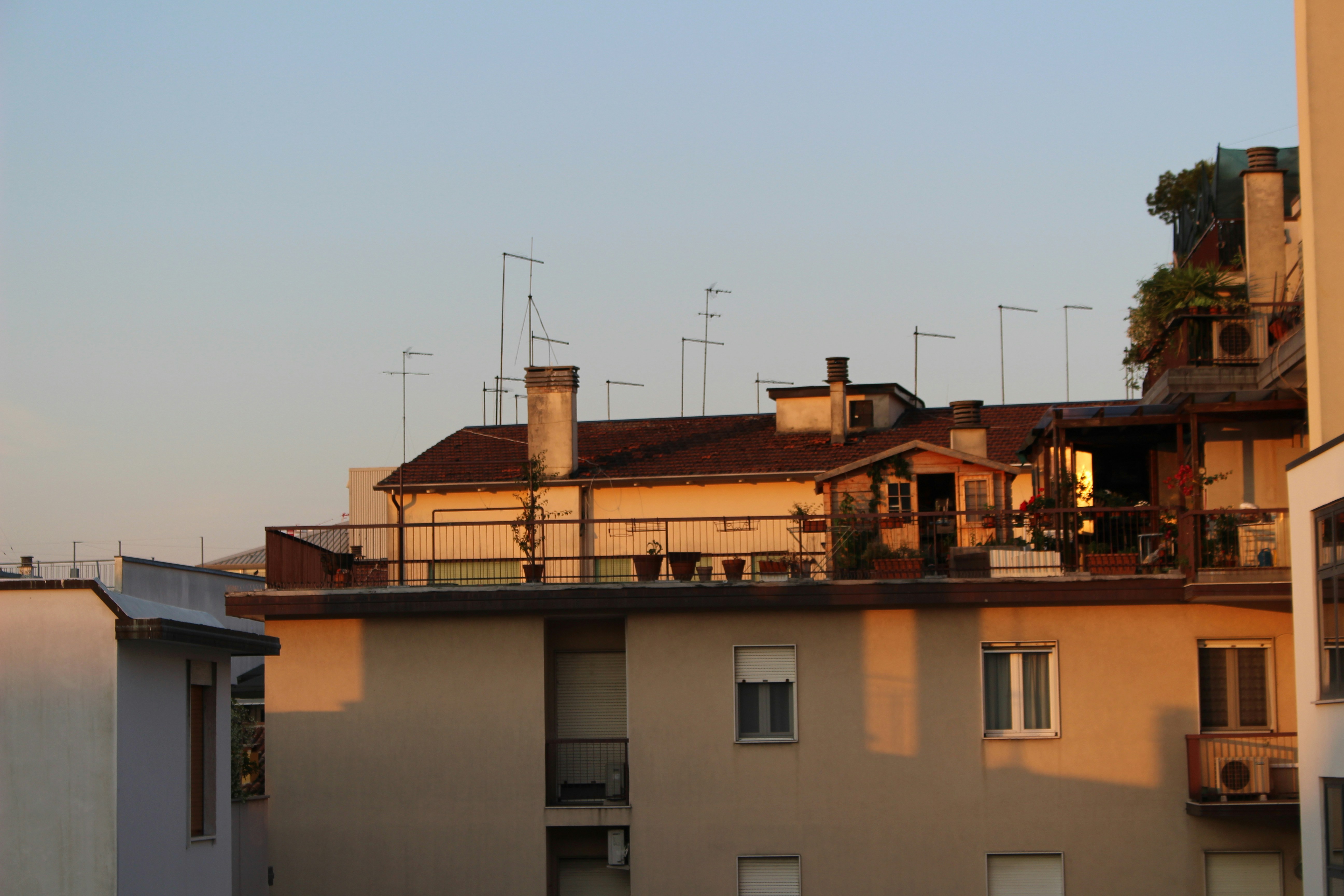 Free Unsplash photo from Katherine Murphy