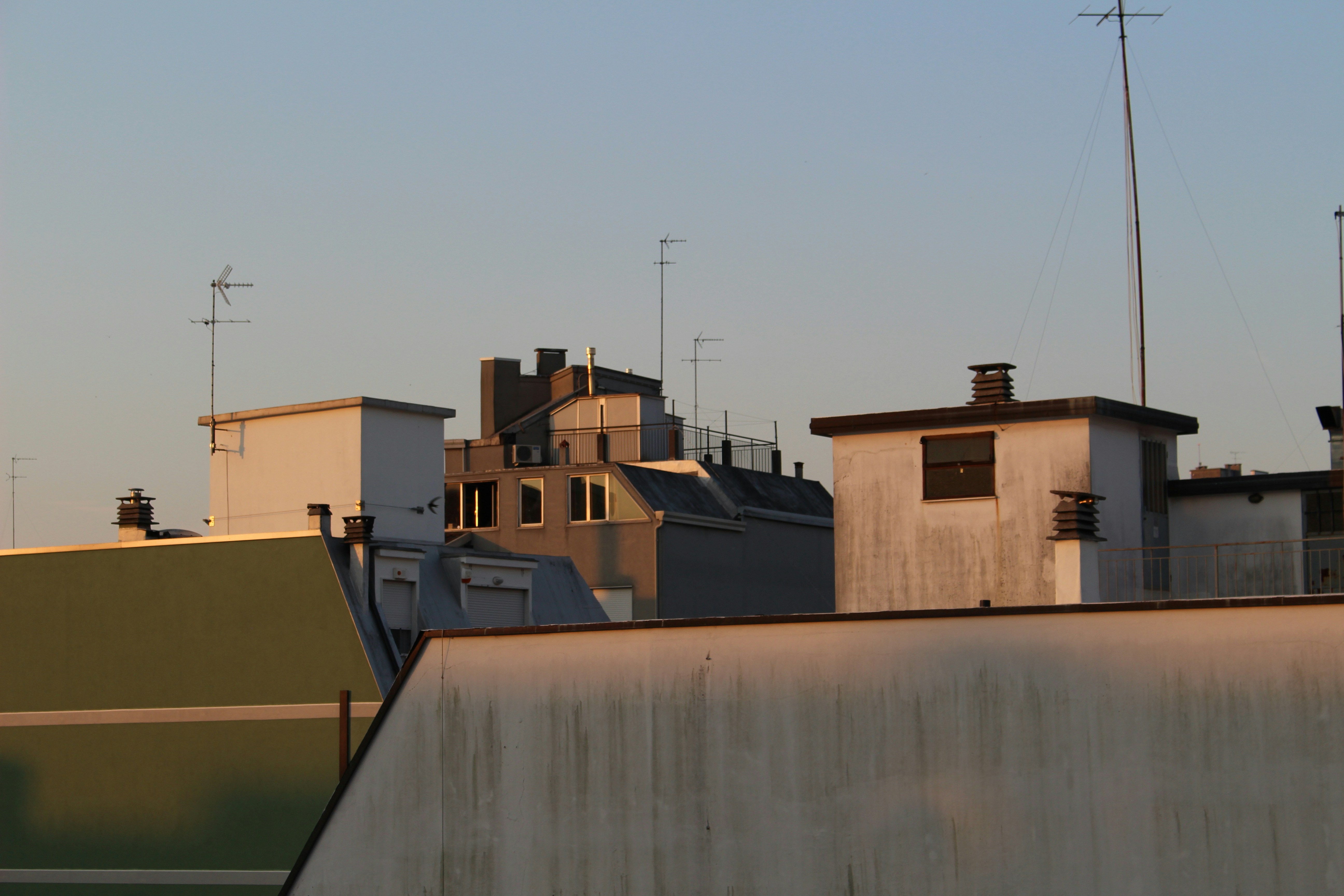 Free Unsplash photo from Katherine Murphy