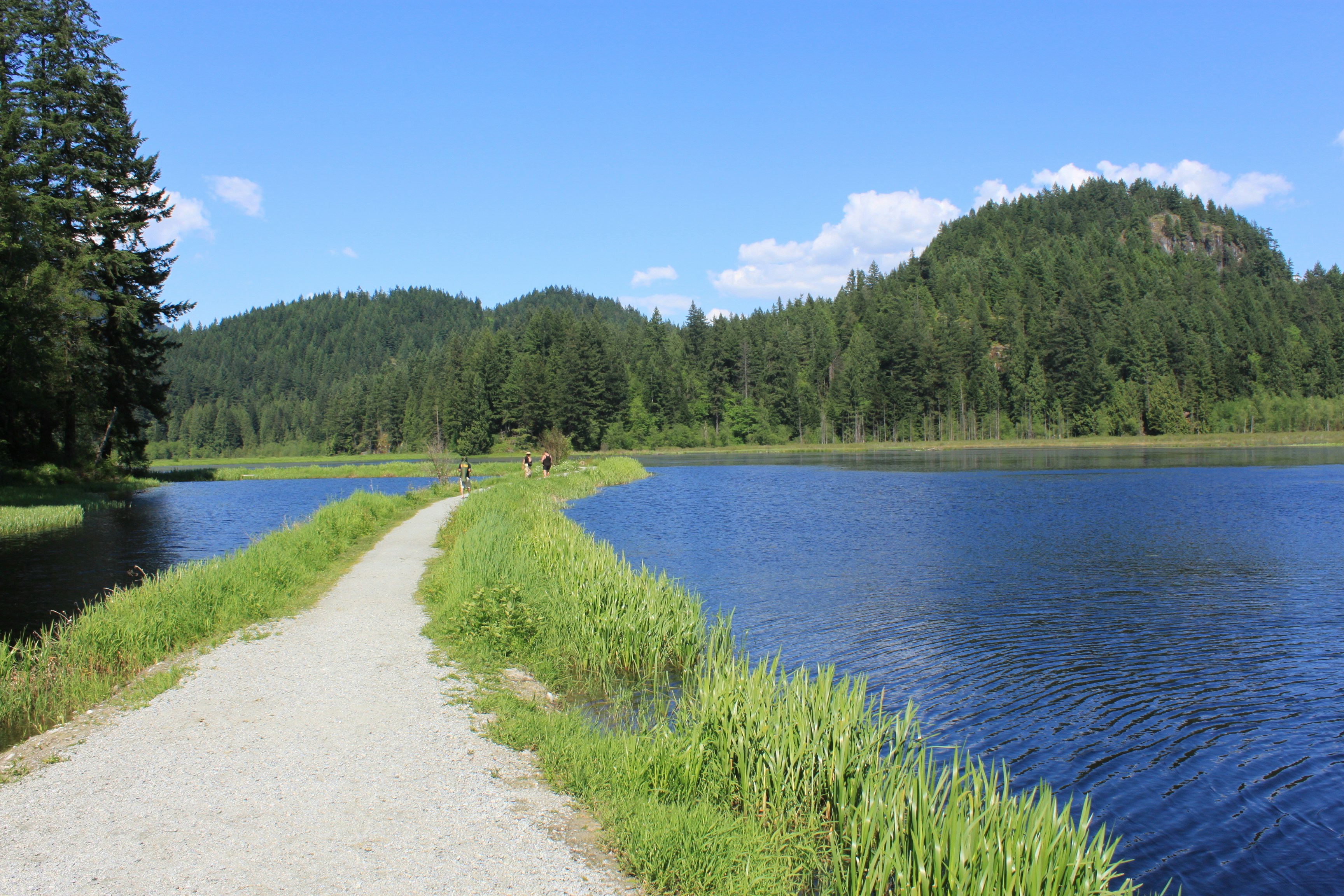 Free Unsplash photo from Mehran Babaee