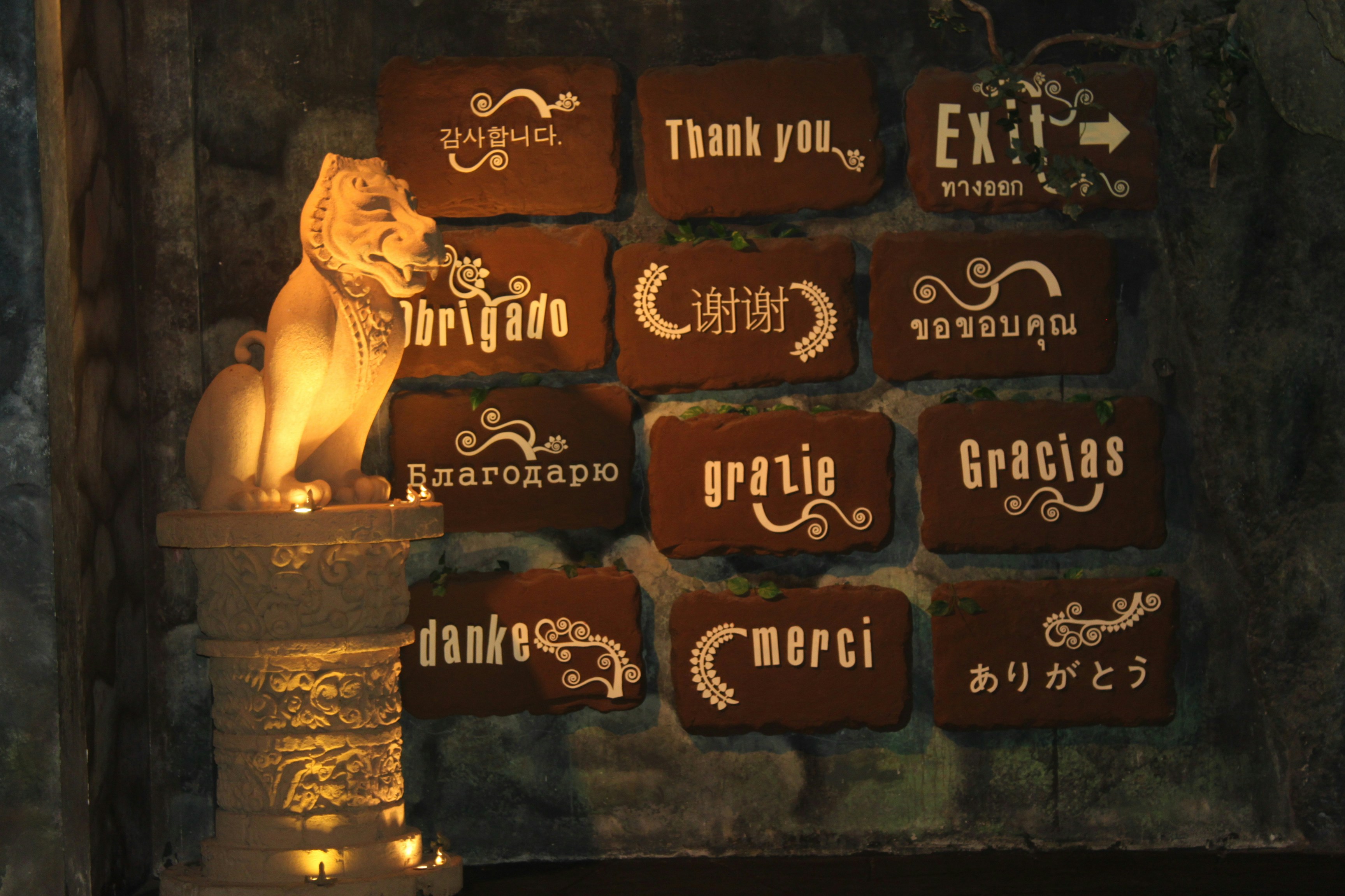 Free Unsplash photo from Mehran Babaee