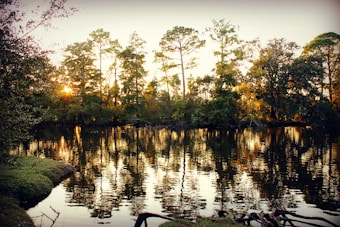 The image depicts a tranquil lake scene with tall trees lining the shoreline. The sunlight filters through the leaves, casting reflections on the water's surface. The foreground features grassy banks, and the overall ambiance is serene and peaceful.
