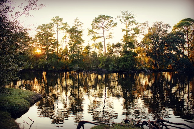 The image depicts a tranquil lake scene with tall trees lining the shoreline. The sunlight filters through the leaves, casting reflections on the water's surface. The foreground features grassy banks, and the overall ambiance is serene and peaceful.