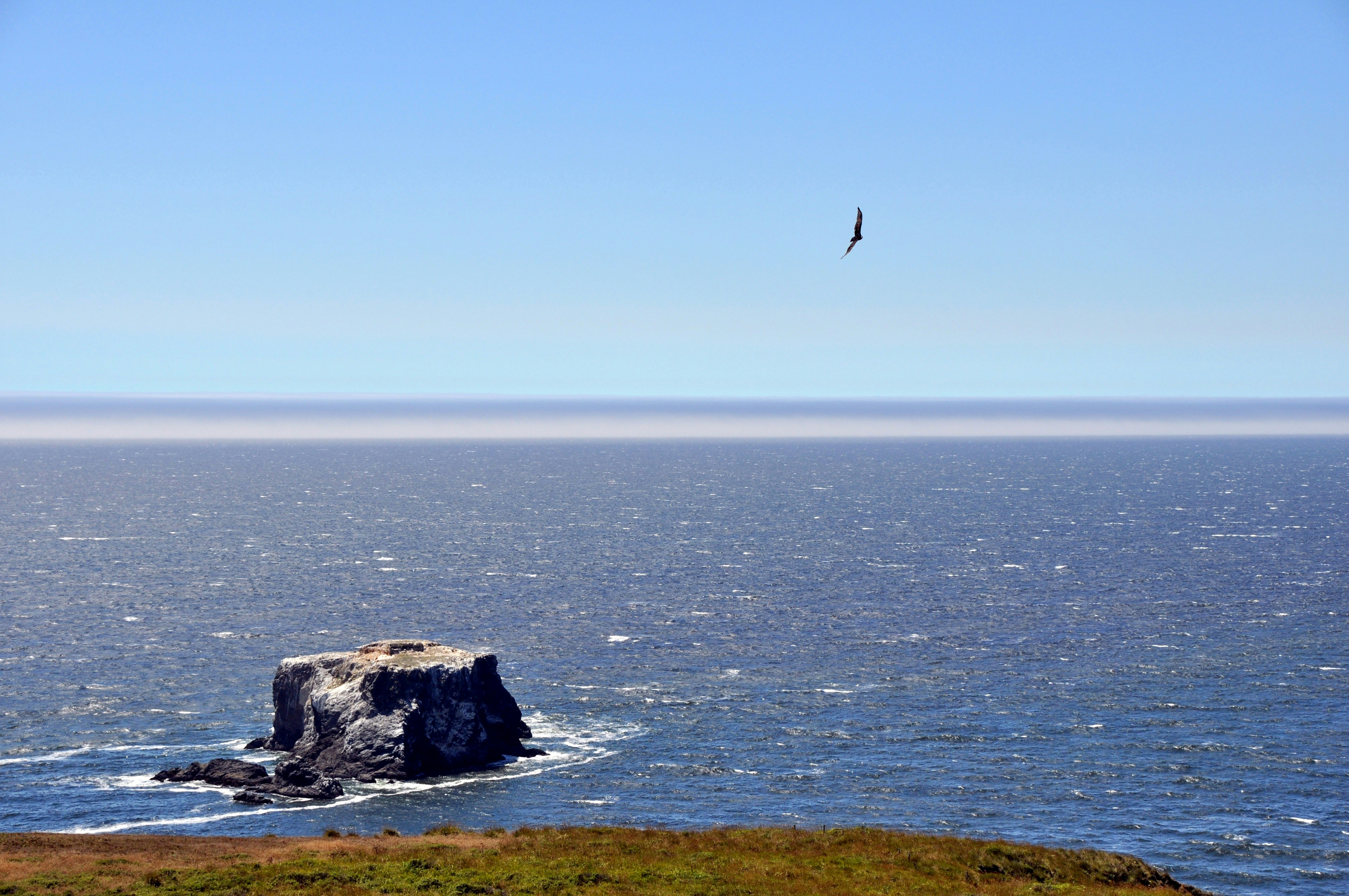 Free Unsplash photo from Vincenzo Vecchio