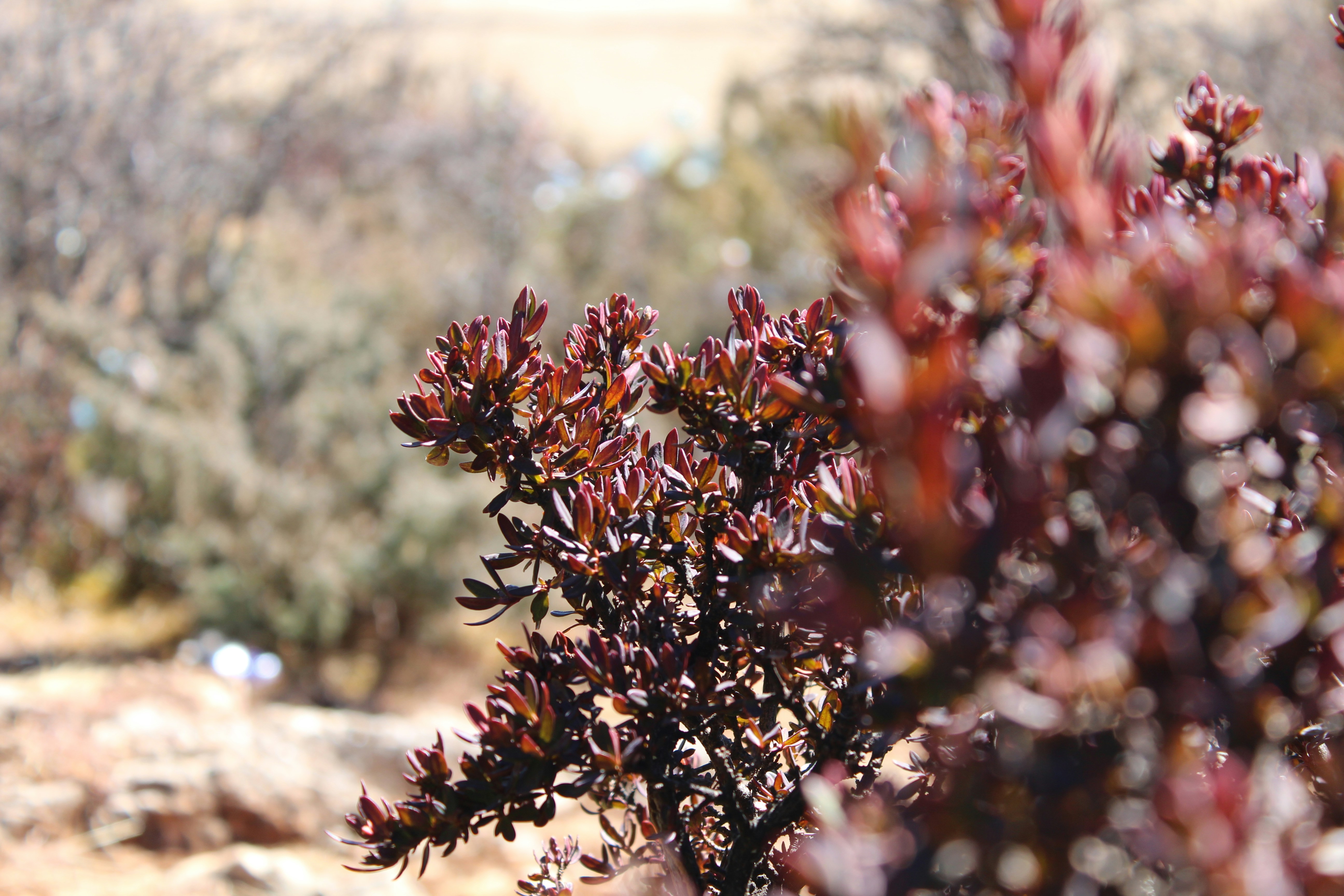 Free Unsplash photo from yucheng he