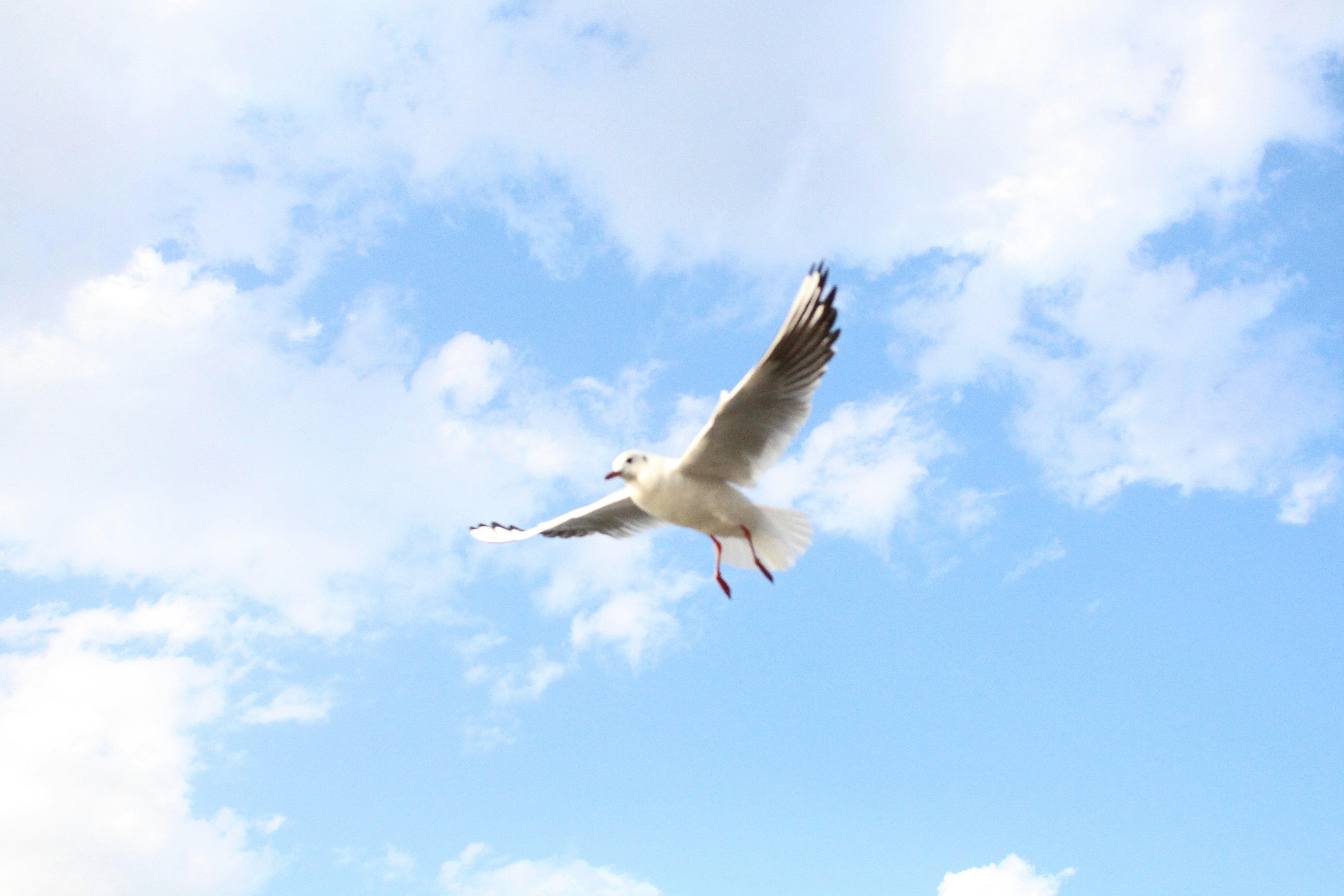 Free Unsplash photo from yucheng he