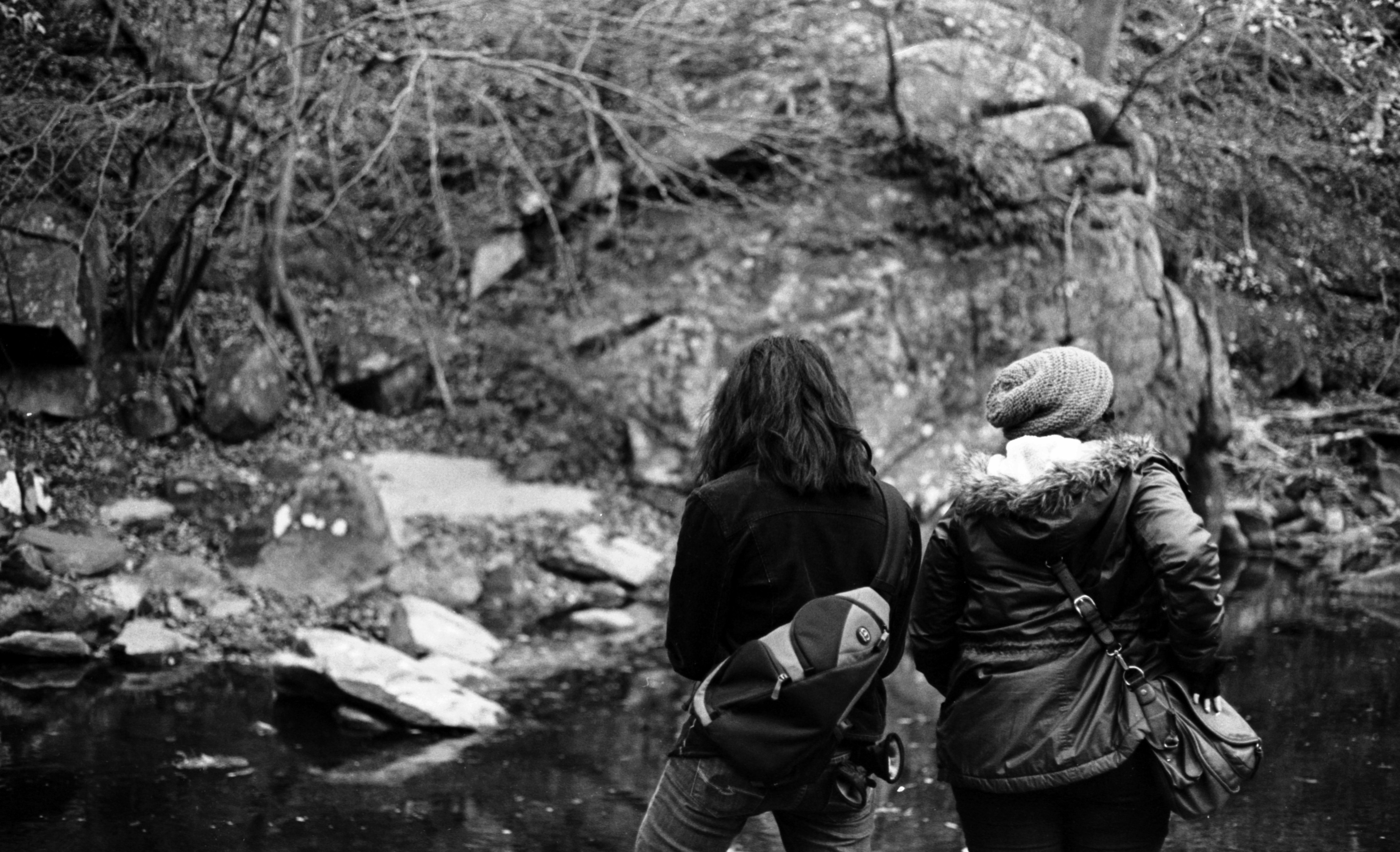 Free Unsplash photo from Kevin Goldfarb