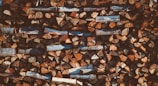 close up photography of brown firewood