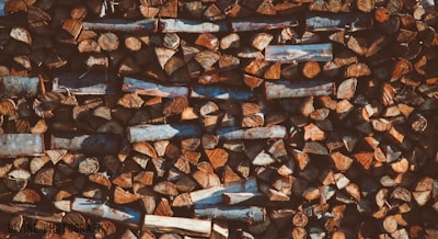 close up photography of brown firewood
