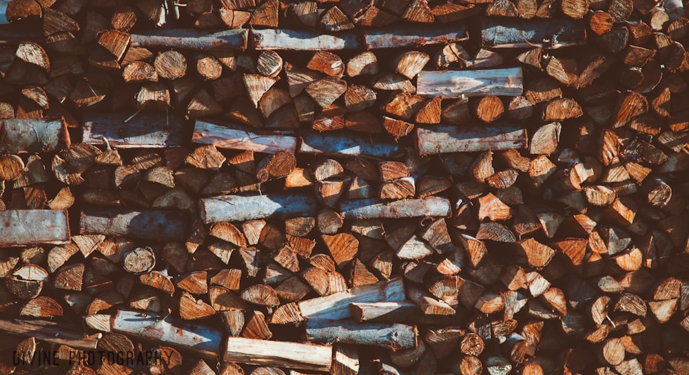 Photographie en gros plan de bois de chauffage brun