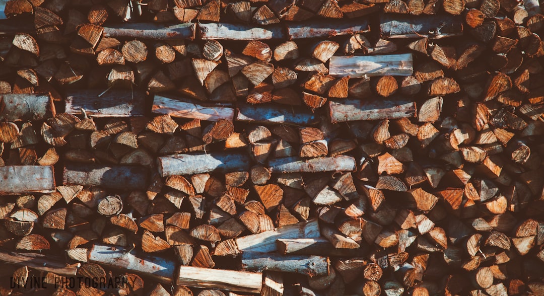 close up photography of brown firewood