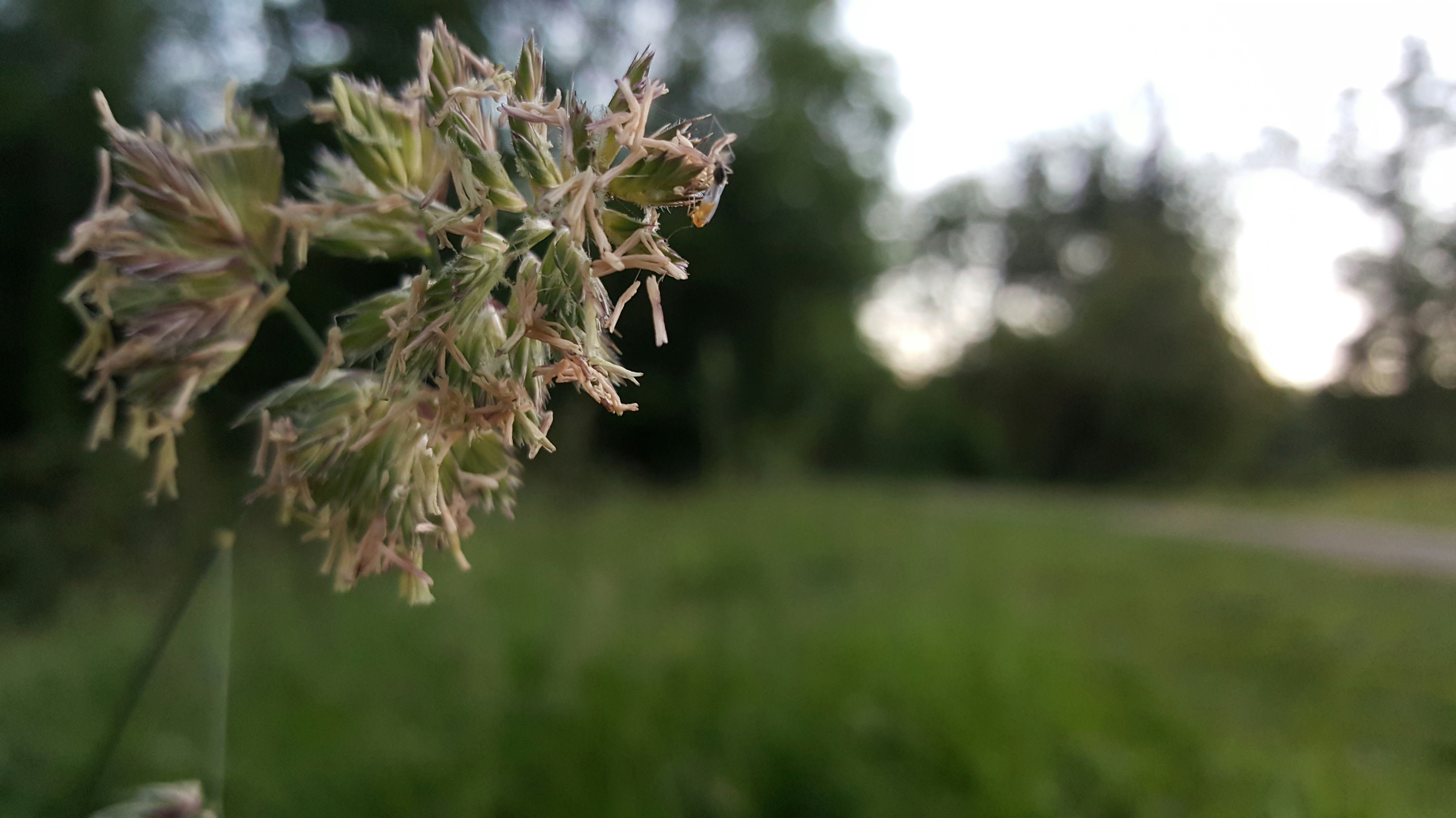 Free Unsplash photo from Rory McQuillan Nolan