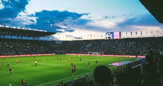 people watching soccer arena