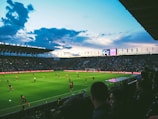 people watching soccer arena