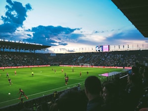 people watching soccer arena