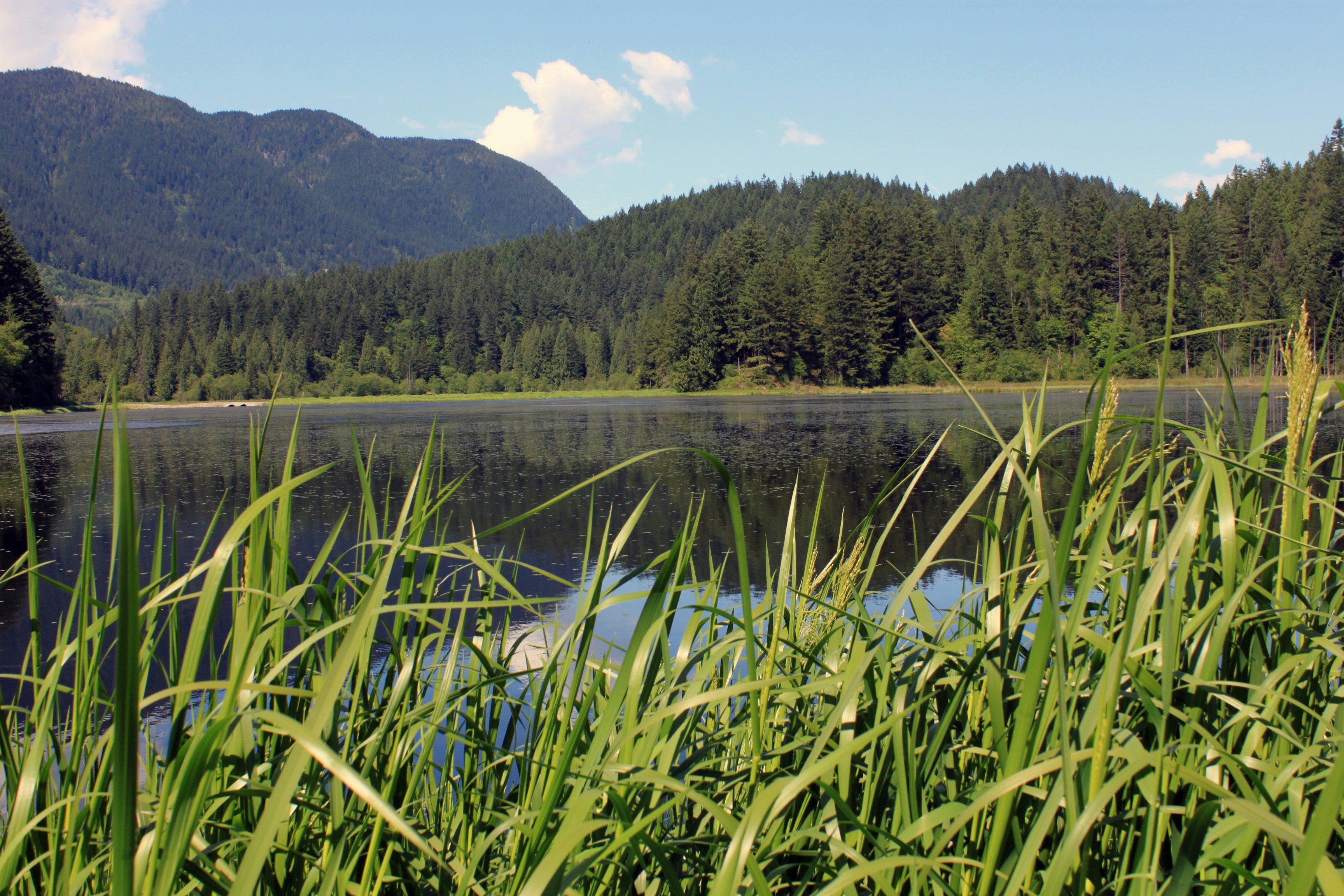 Free Unsplash photo from Mehran Babaee