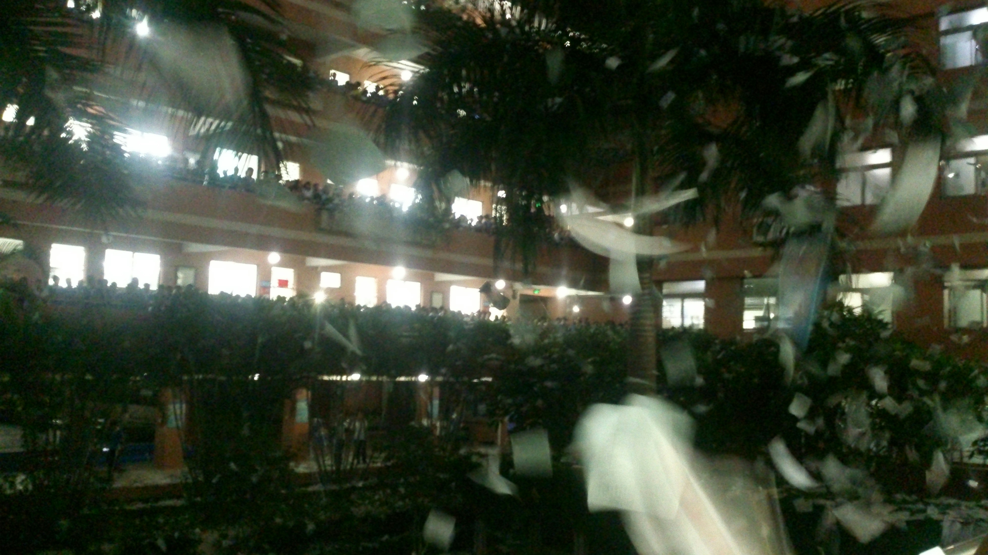 Free Unsplash photo from zoom 庄