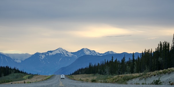 vehicle moving towards hill on road between trees