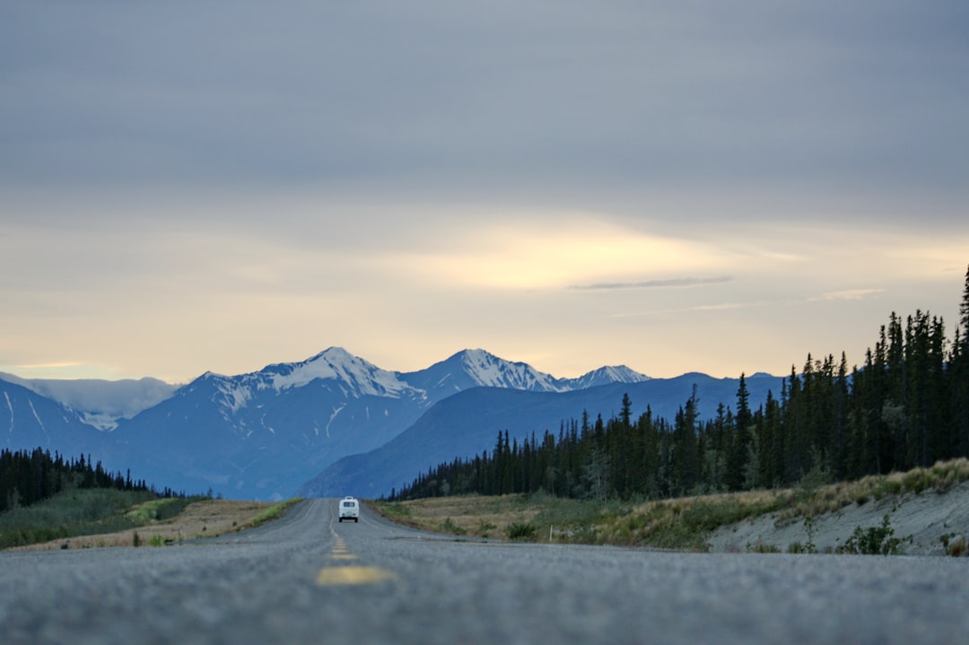 vehicle moving towards hill on road between trees, Trip to Alaska