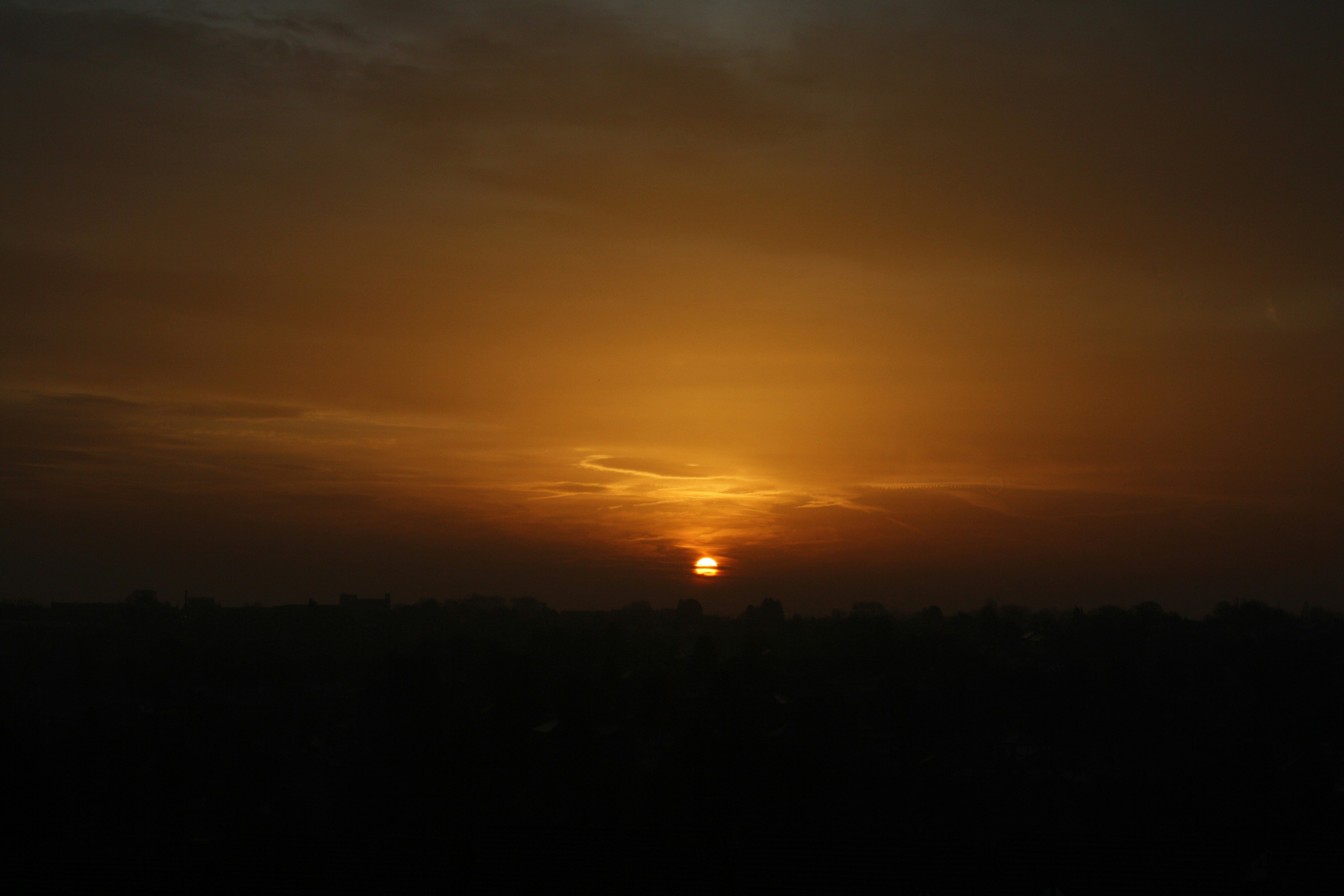 Free Unsplash photo from Philip Swinburn