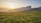 photo of green grass field at sunrise