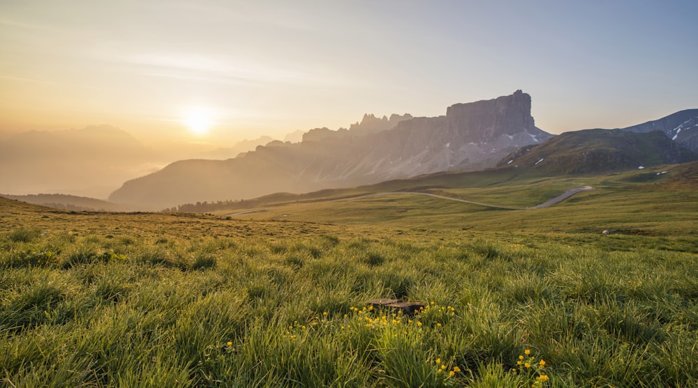 photo of green grass field at sunrise