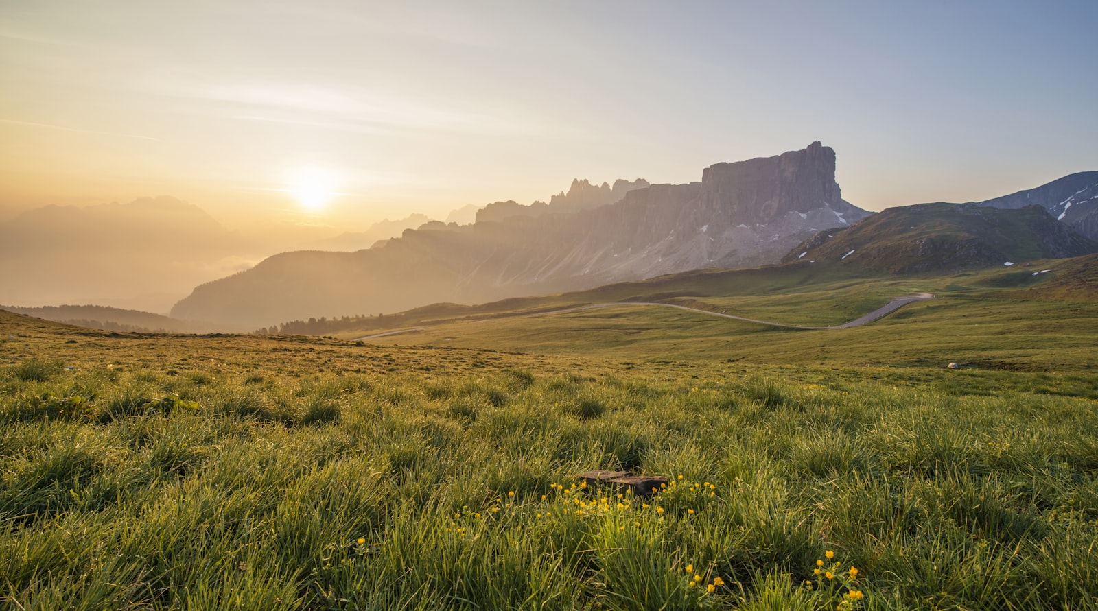 Nikon AF-S Nikkor 14-24mm F2.8G ED sample photo. Photo of green grass photography