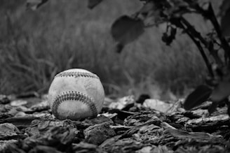 A close-up of a weathered baseball resting on a surface covered with fallen leaves and twigs. The background is slightly out of focus, showcasing natural surroundings with hints of grass and foliage. The image is in black and white, adding an element of nostalgia and simplicity.