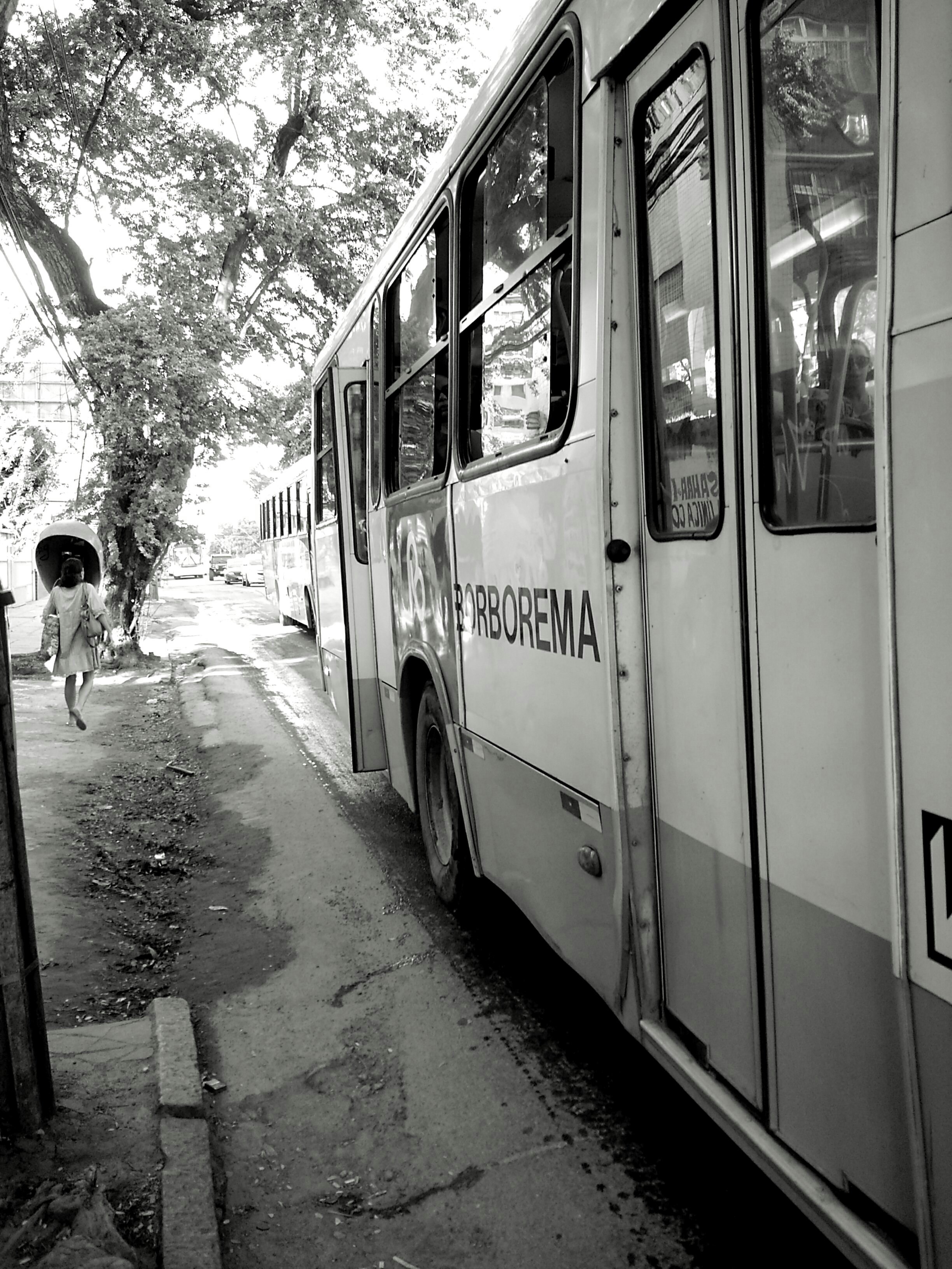 Free Unsplash photo from Nelson Biagio Junior