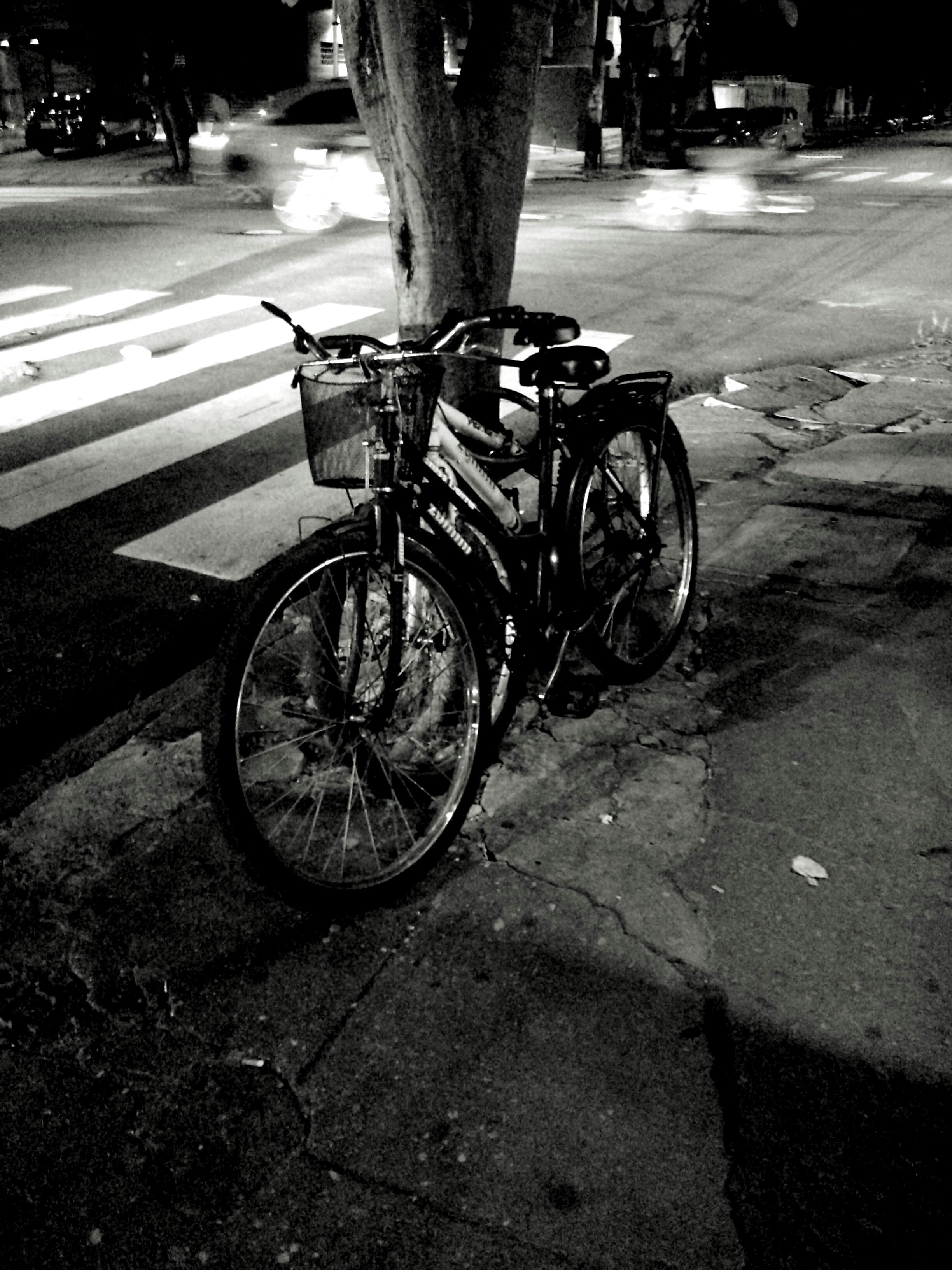 Free Unsplash photo from Nelson Biagio Junior