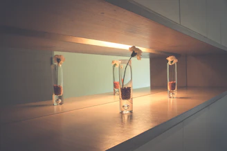 Timeless glass vases arranged elegantly on a wooden shelf, showcasing classic design.