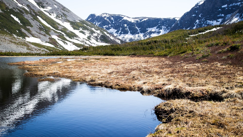 photo of grass field near body of water and mountains