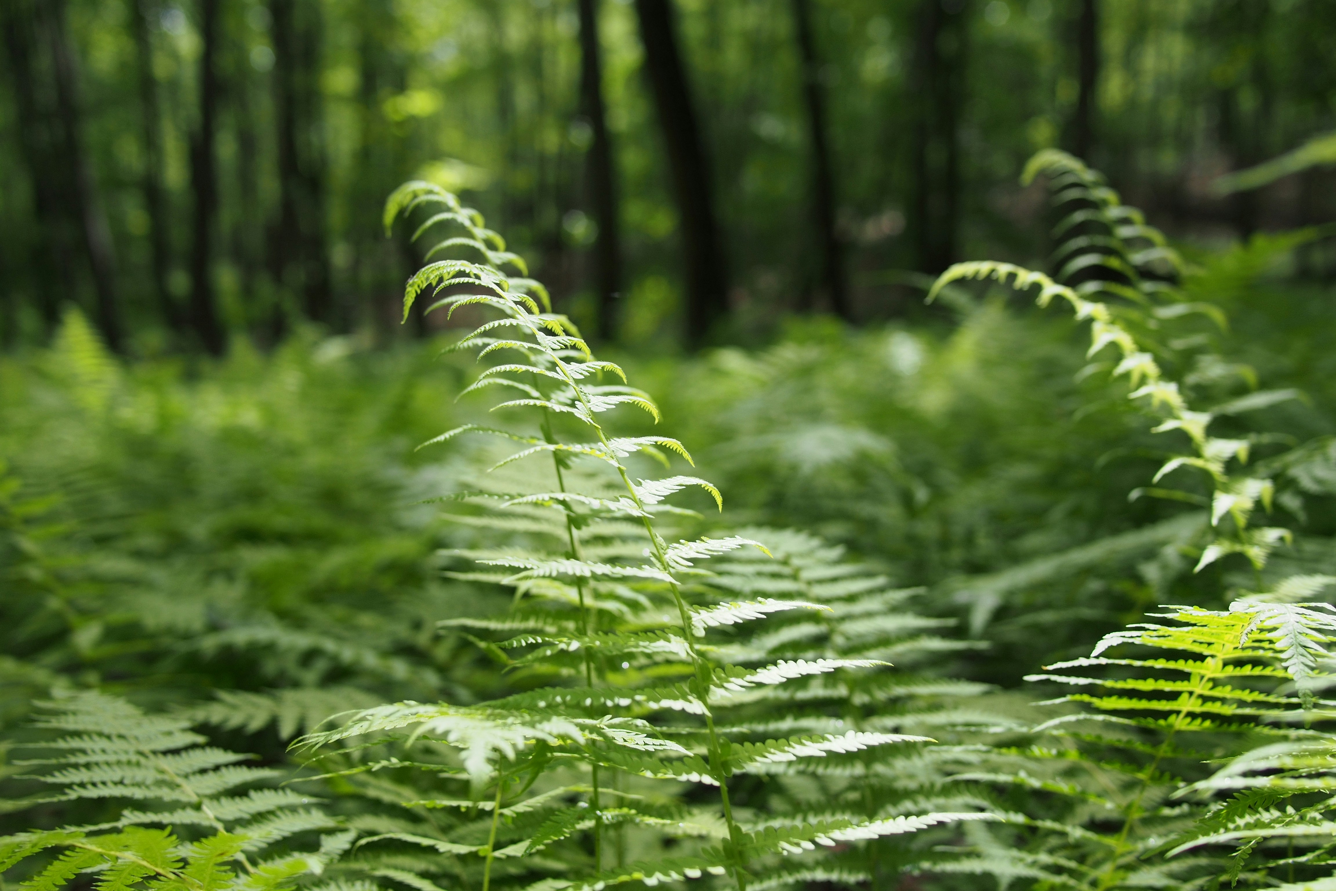 Free Unsplash photo from Taylor Davidson