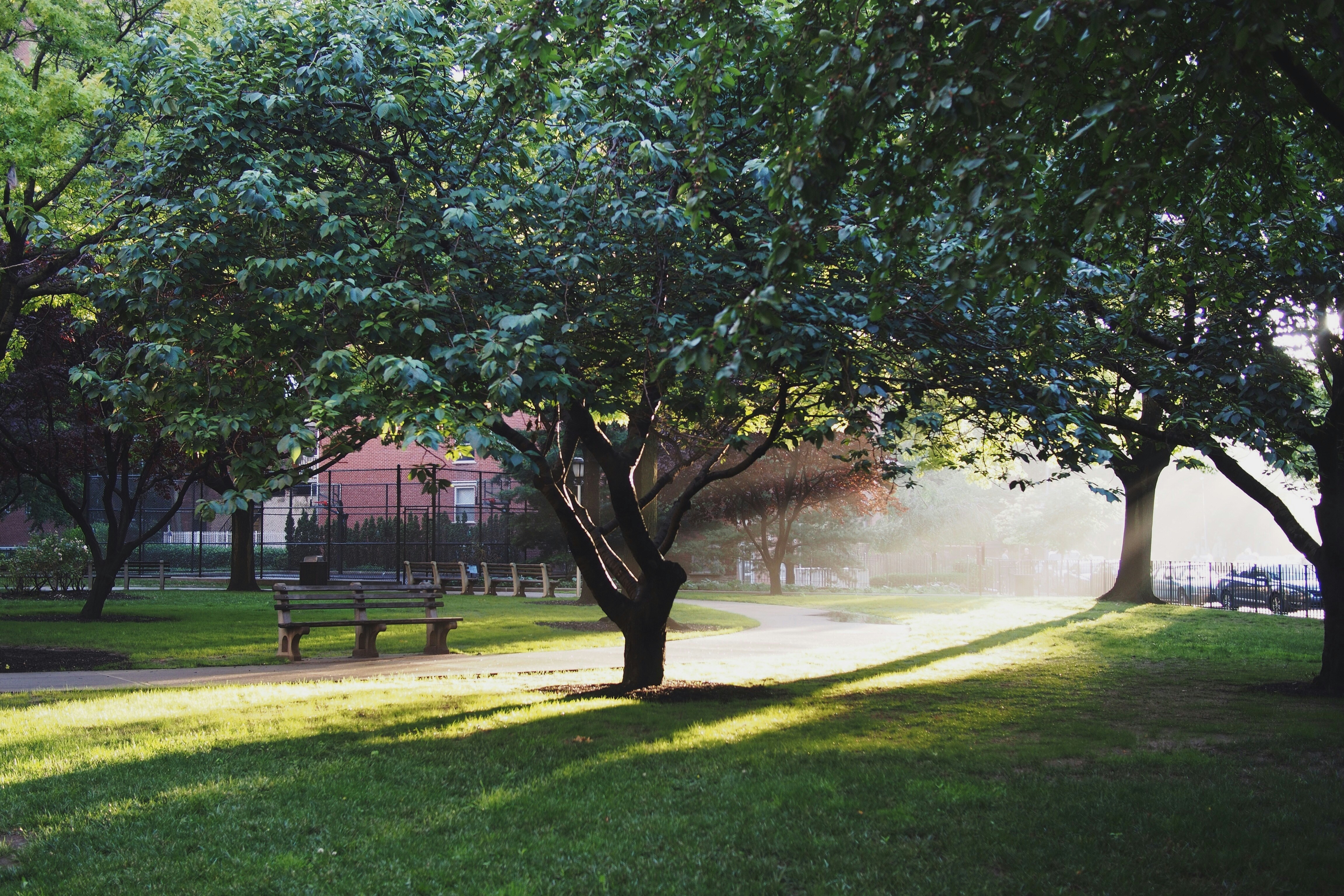 Free Unsplash photo from Taylor Davidson