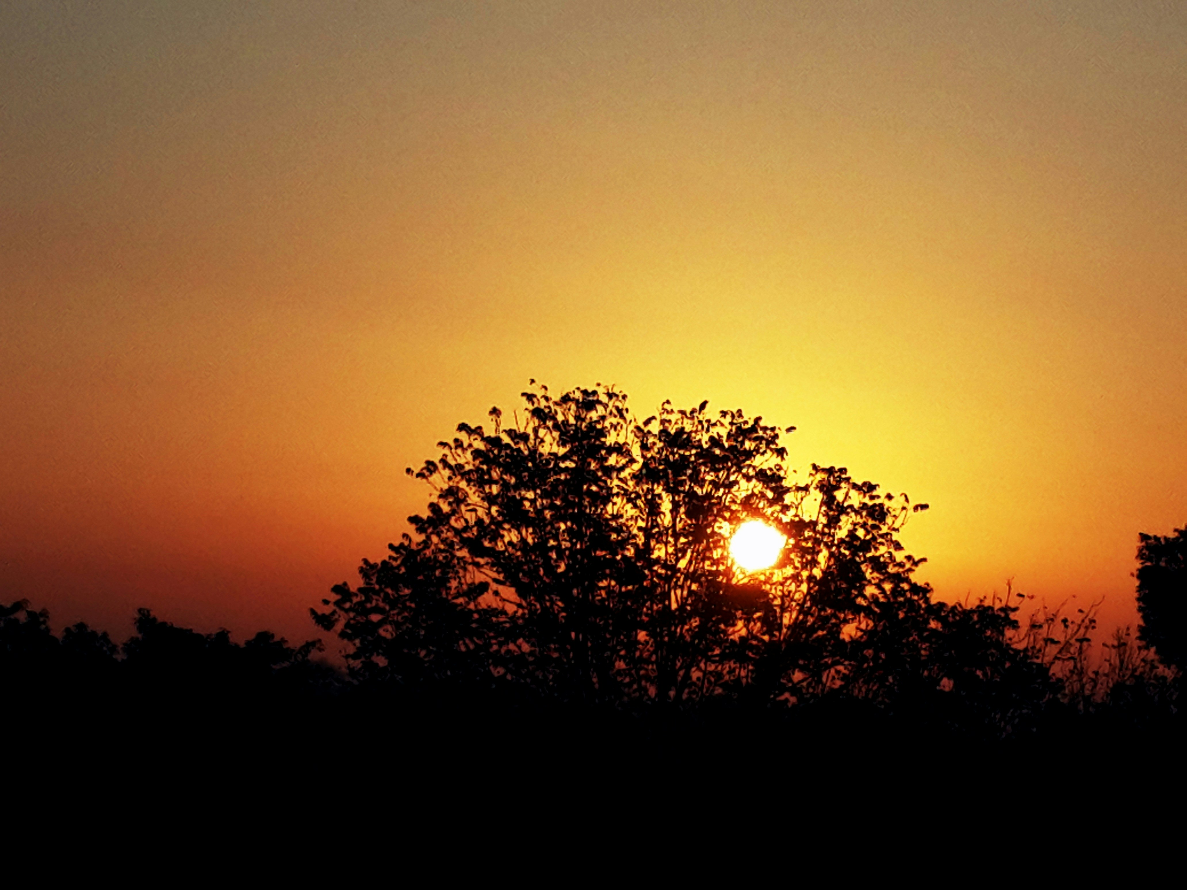 Free Unsplash photo from Dapinder