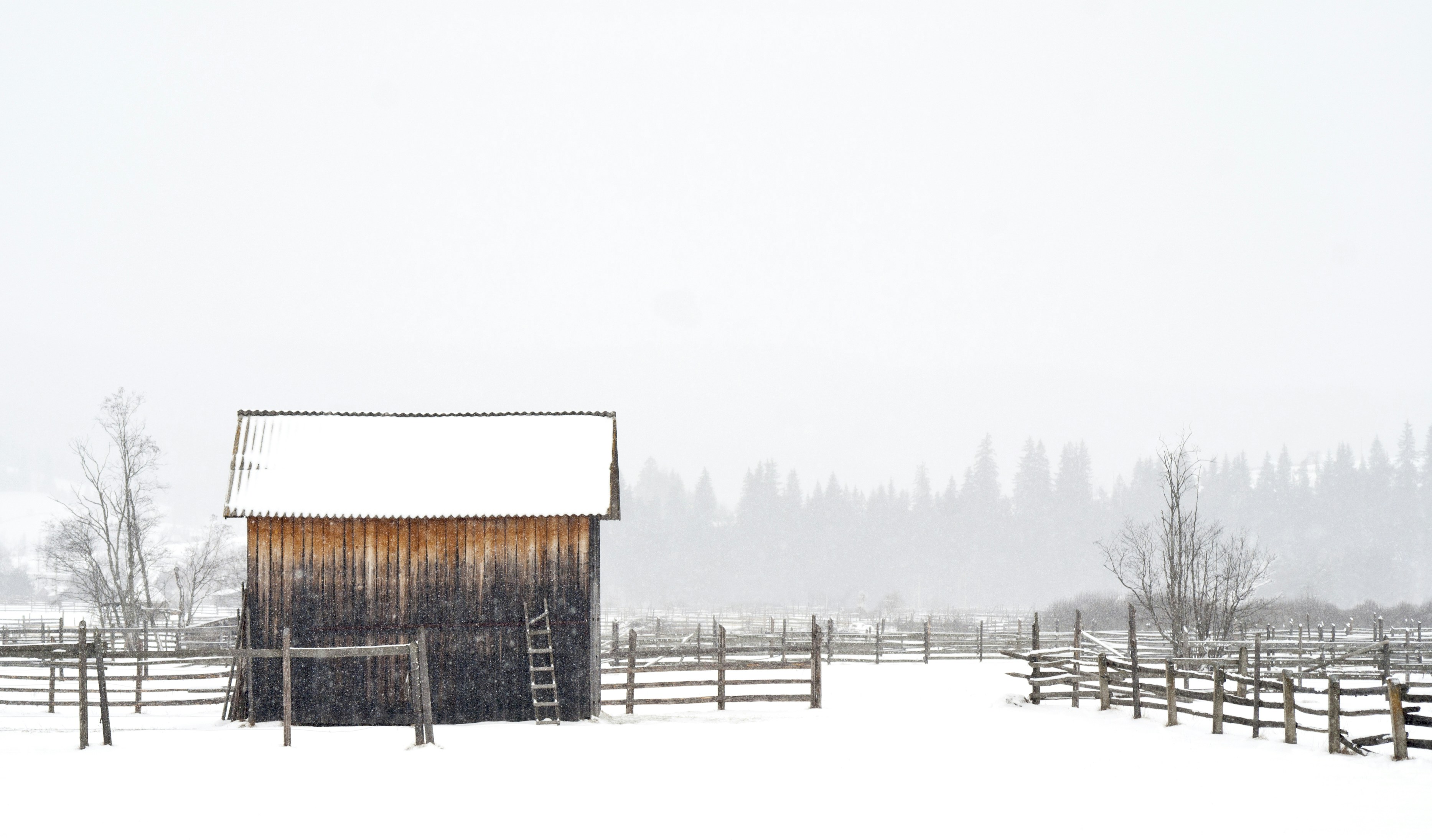 Snow covered barn in wintertime